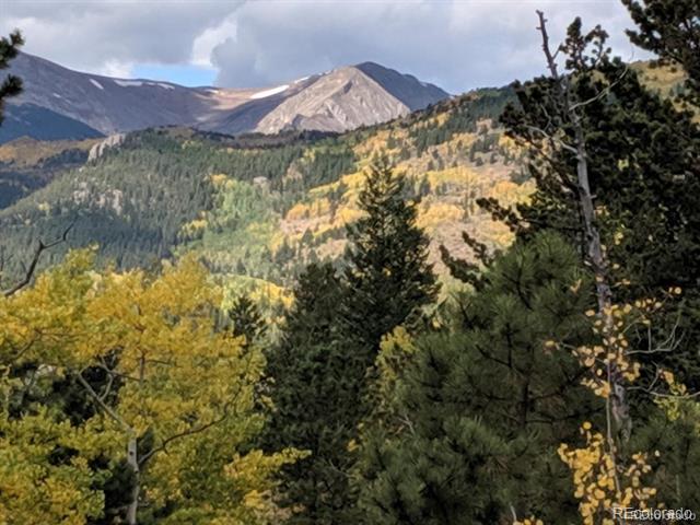 0 Bald Mountain and York Gulch Roads