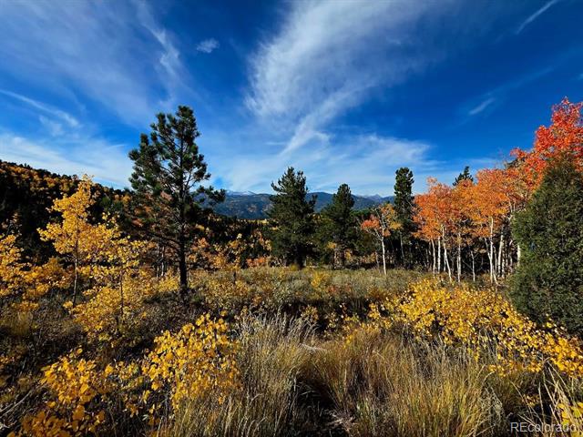0 Bald Mountain and York Gulch Roads