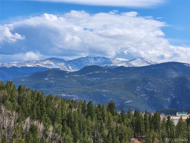0 Bald Mountain and York Gulch Roads