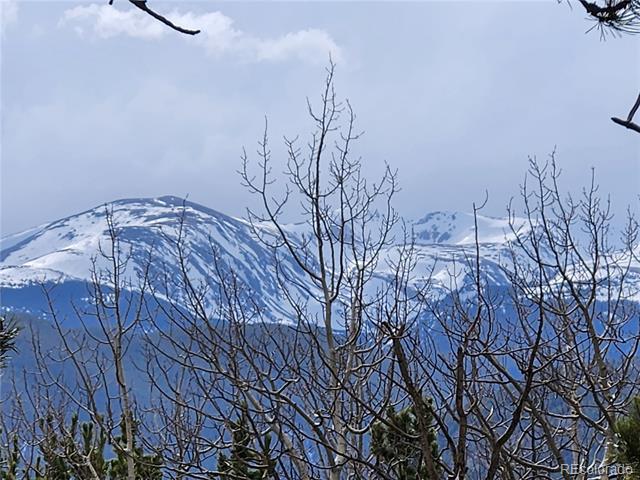 0 Bald Mountain and York Gulch Roads