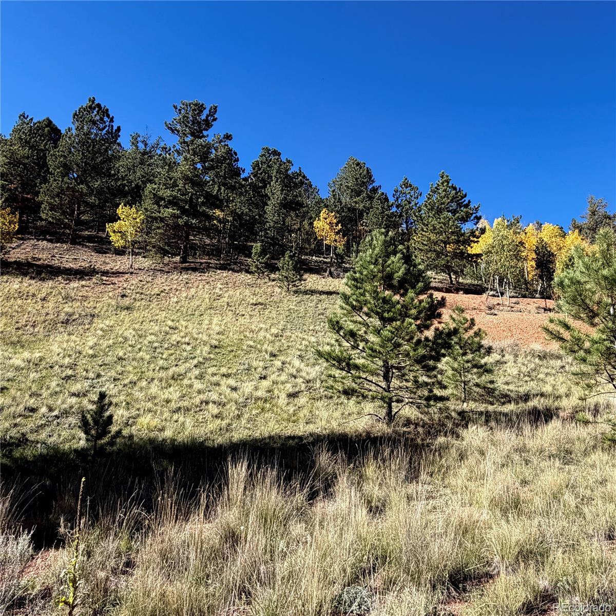 200 Beaver Pond Road