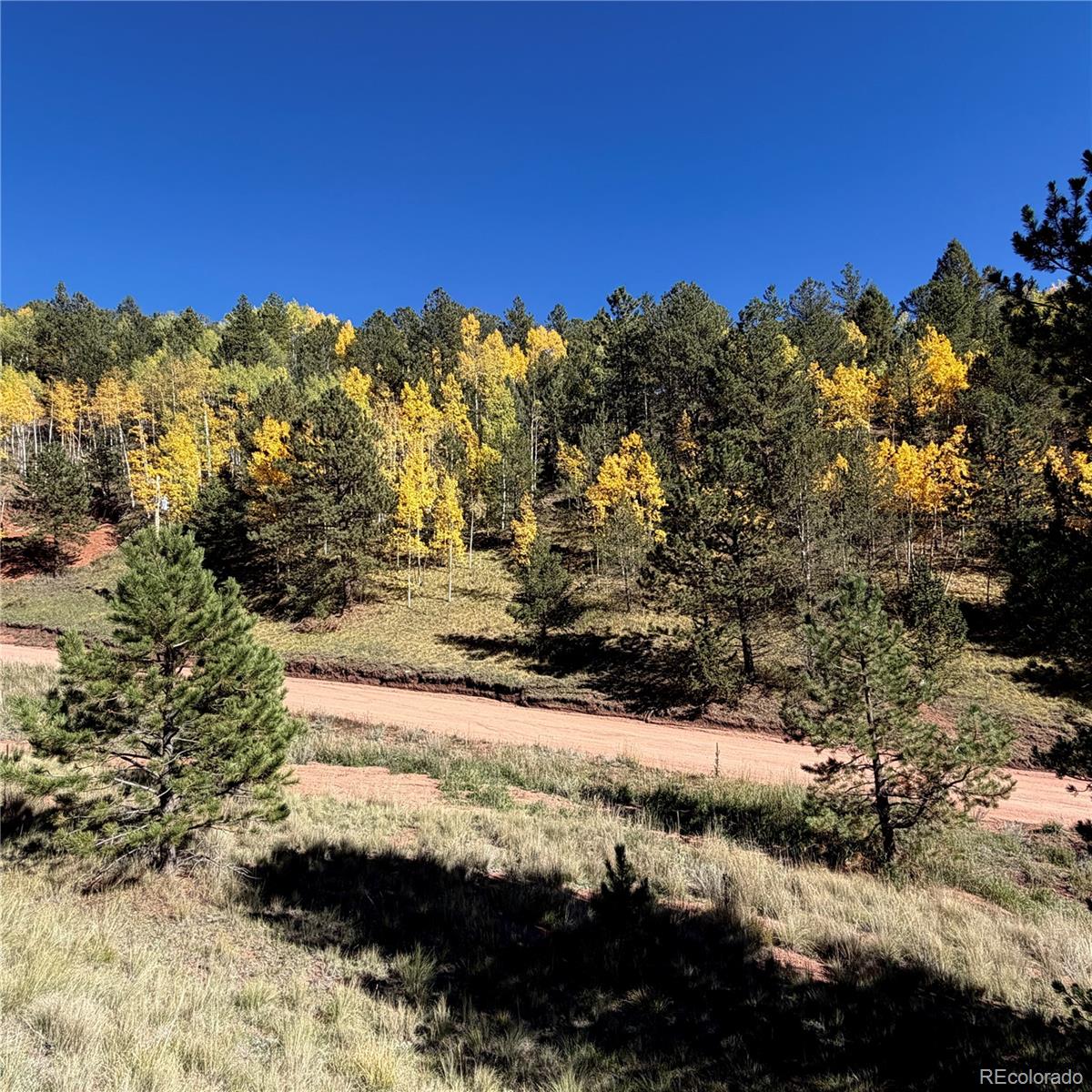 200 Beaver Pond Road