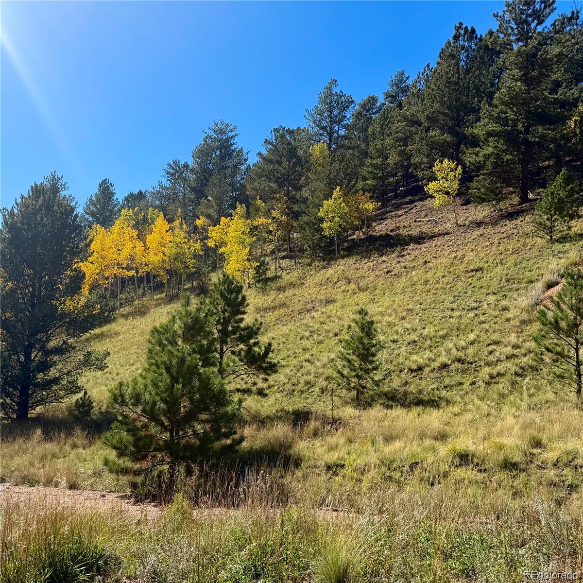 200 Beaver Pond Road
