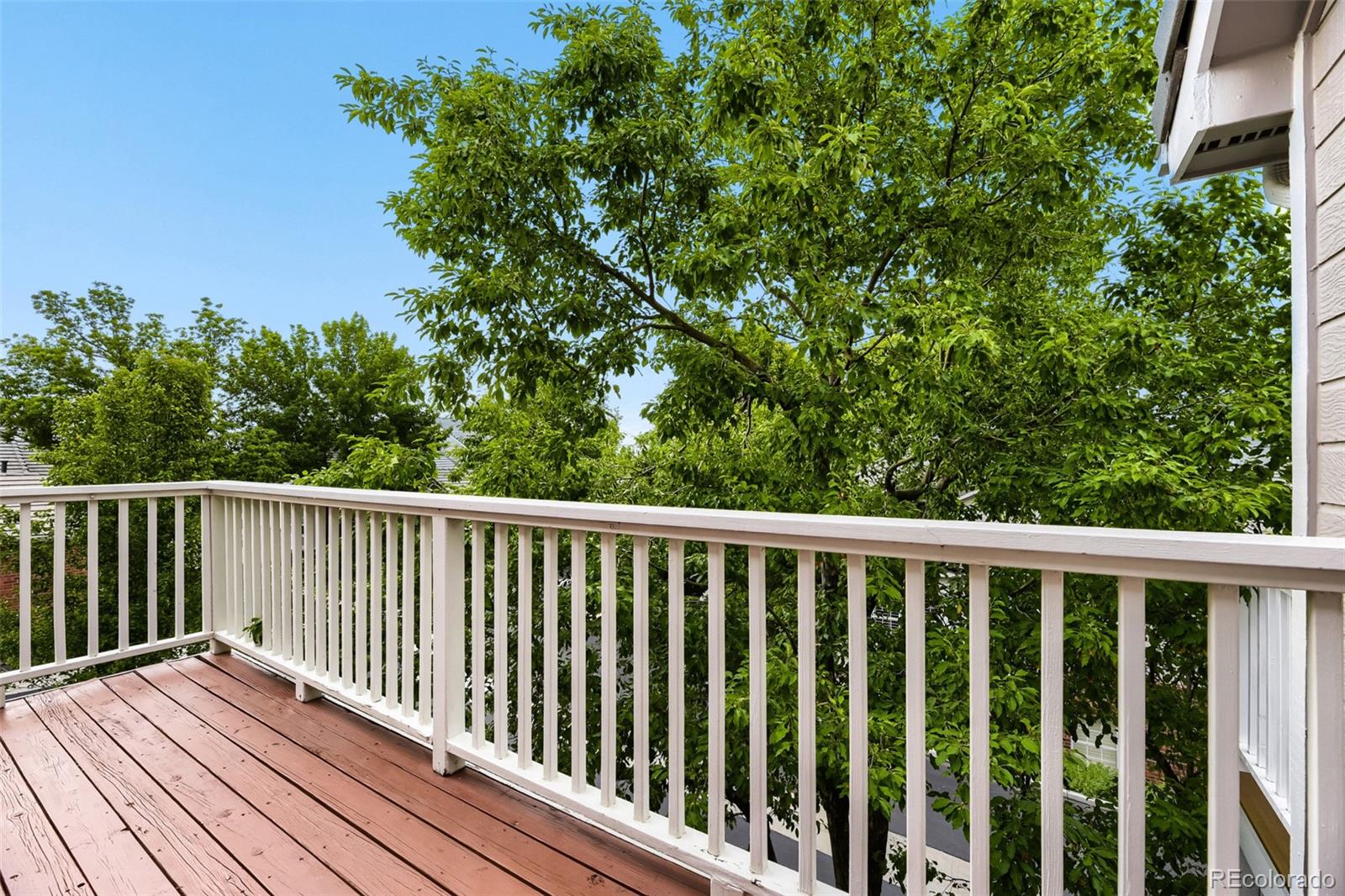 8703 Wentworth Court