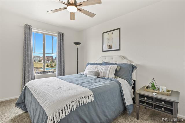 8367 Colorado Spruce Lane