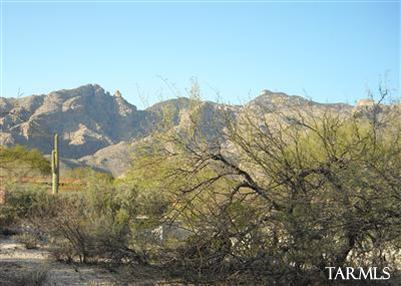3831 E Calle Cayo