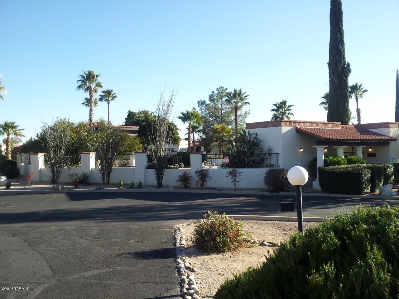 868 W Safari Drive