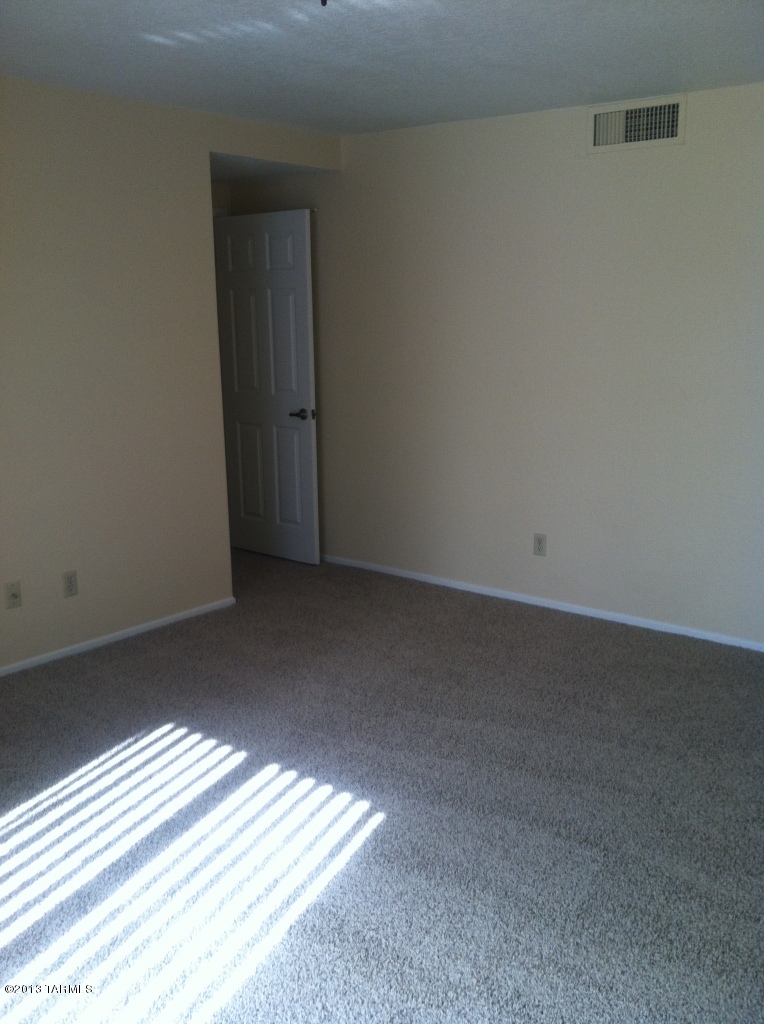 868 W Safari Drive