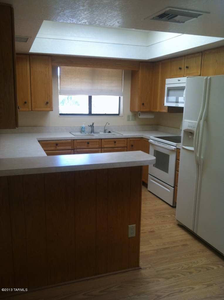 868 W Safari Drive