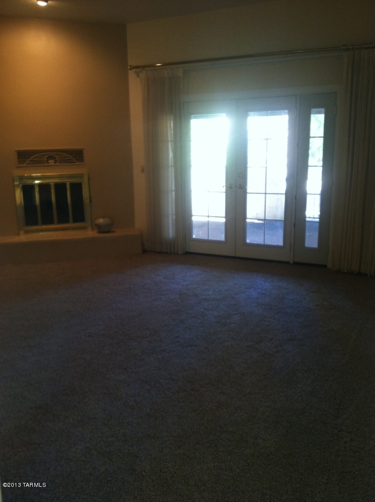 868 W Safari Drive
