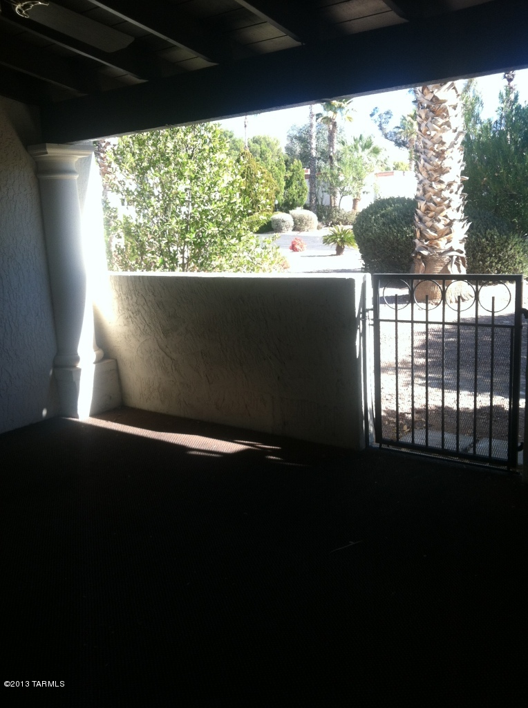 868 W Safari Drive