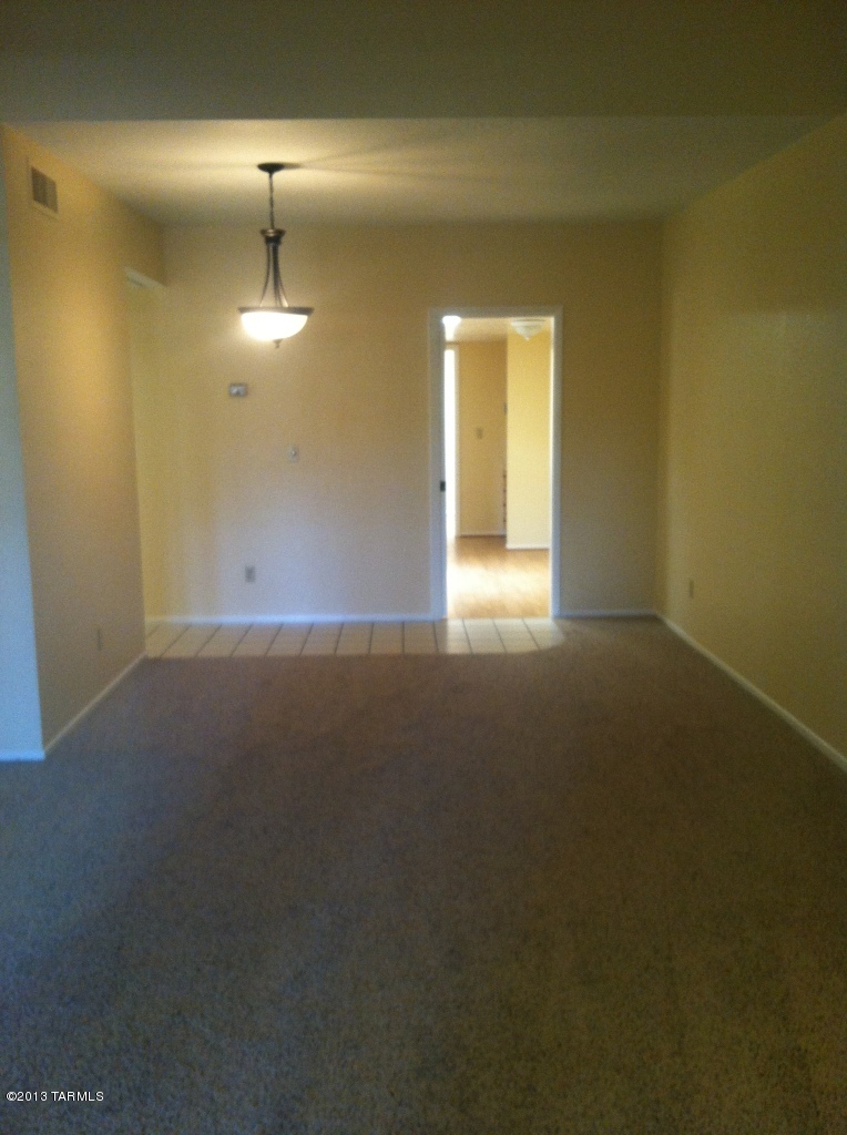 868 W Safari Drive
