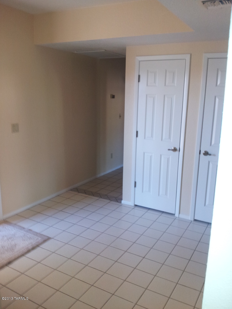 868 W Safari Drive