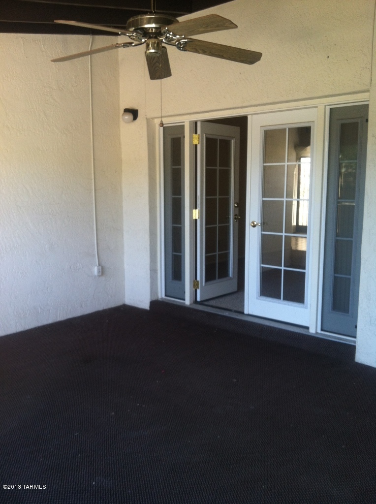 868 W Safari Drive