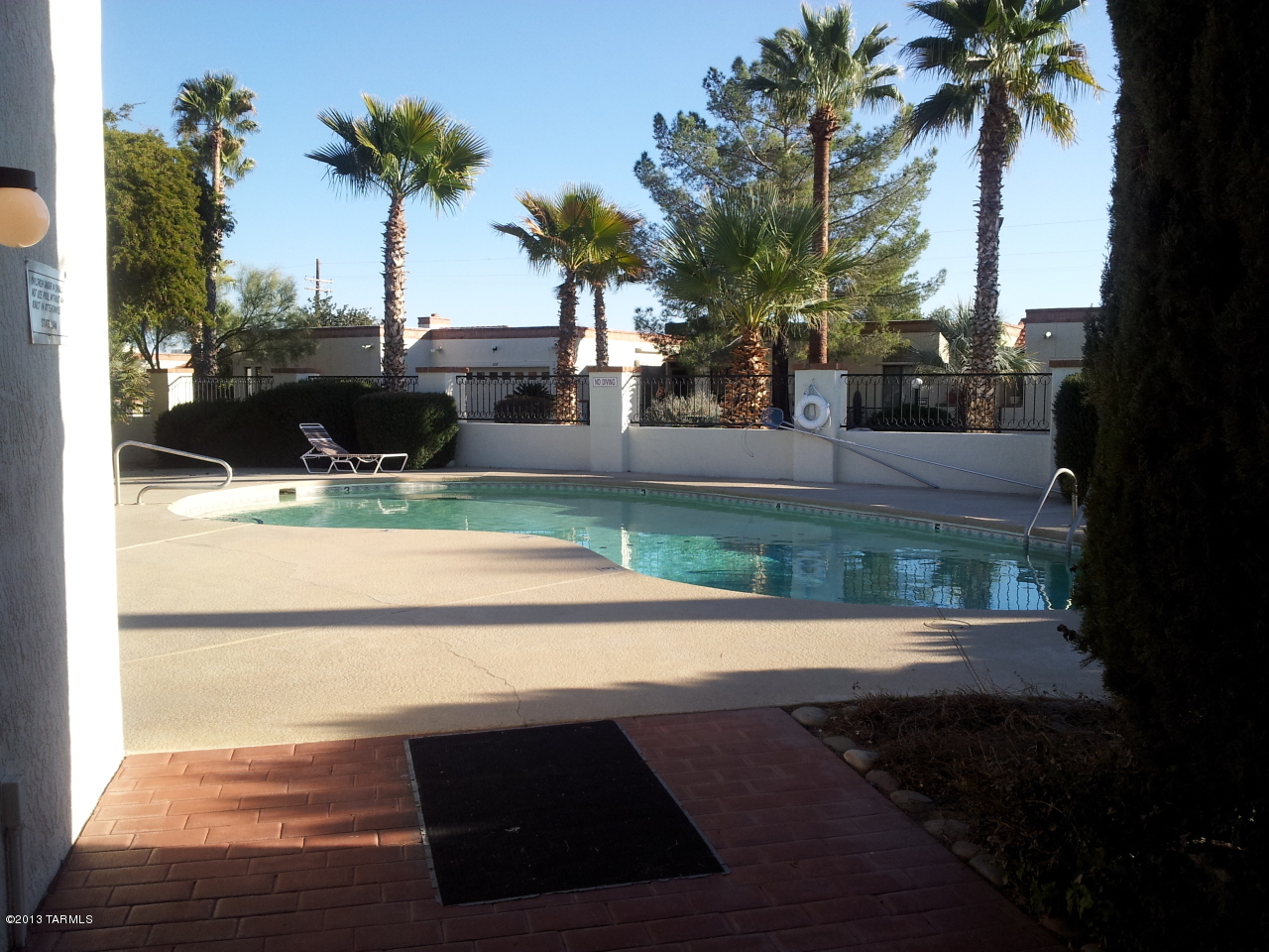 868 W Safari Drive