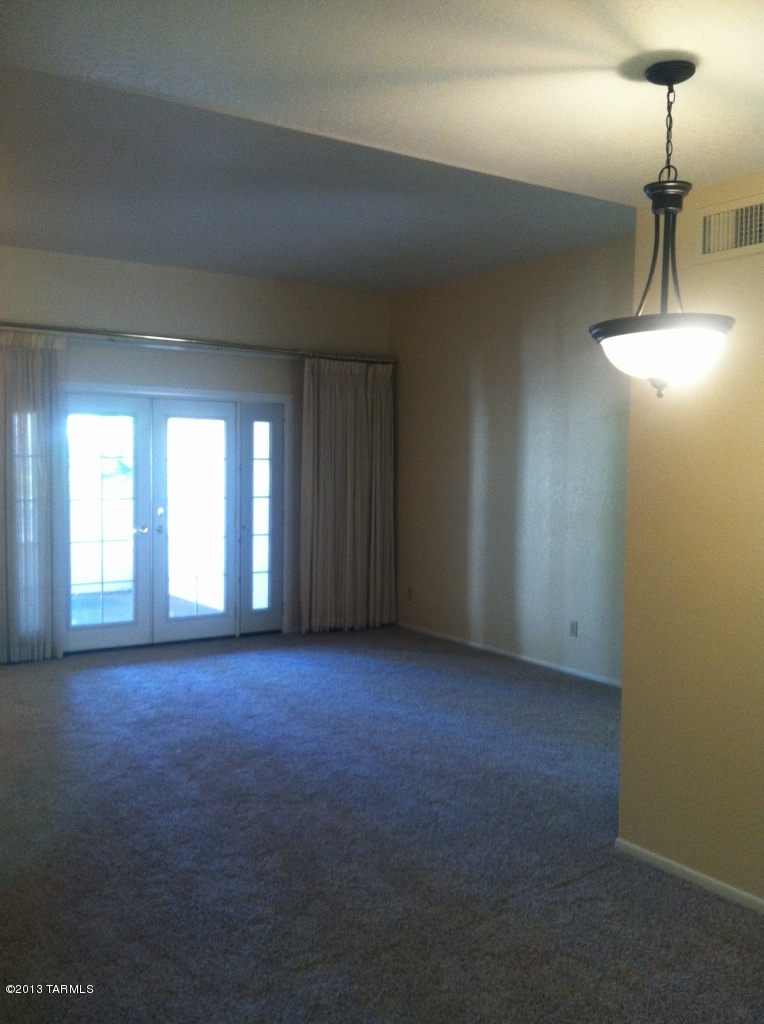 868 W Safari Drive