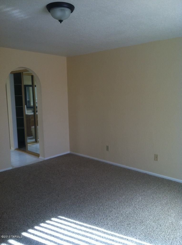 868 W Safari Drive