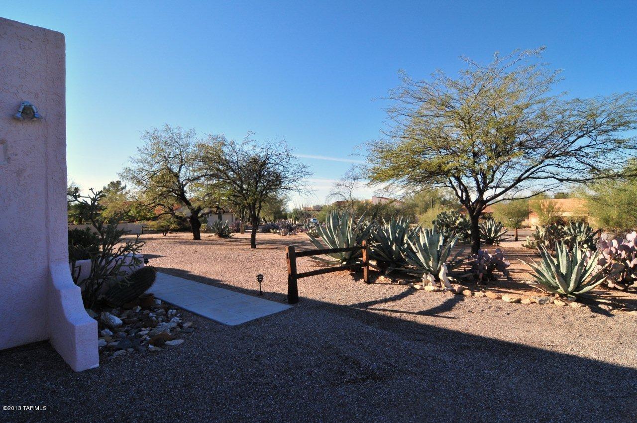 6120 N Calle De La Culebra