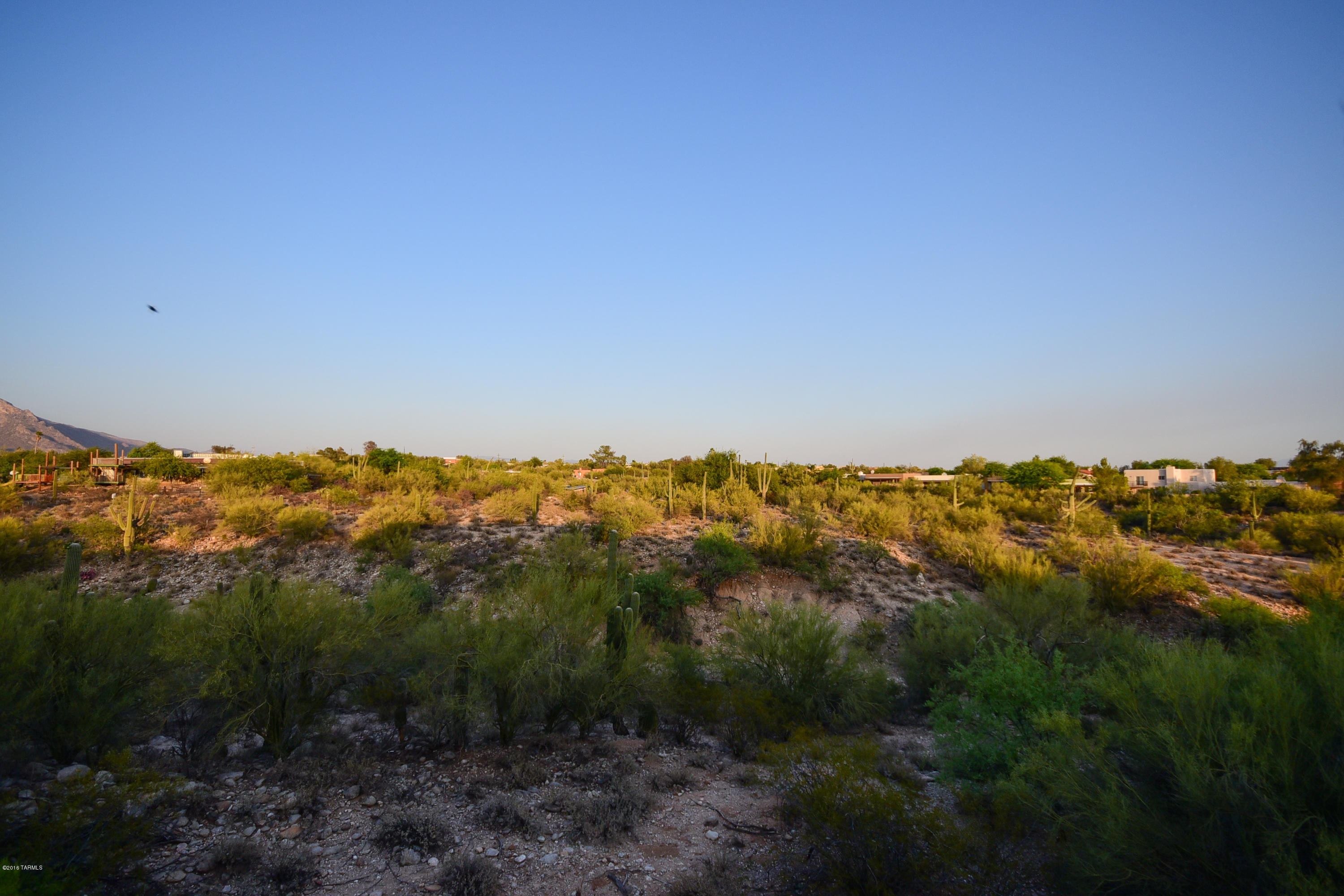 491 E Deers Rest Place