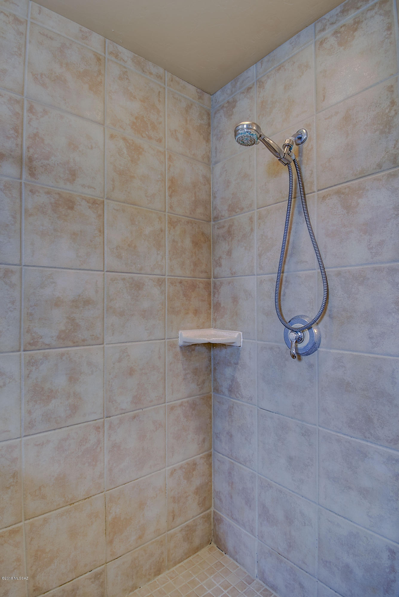 446 N Campbell Avenue Unit: 4204