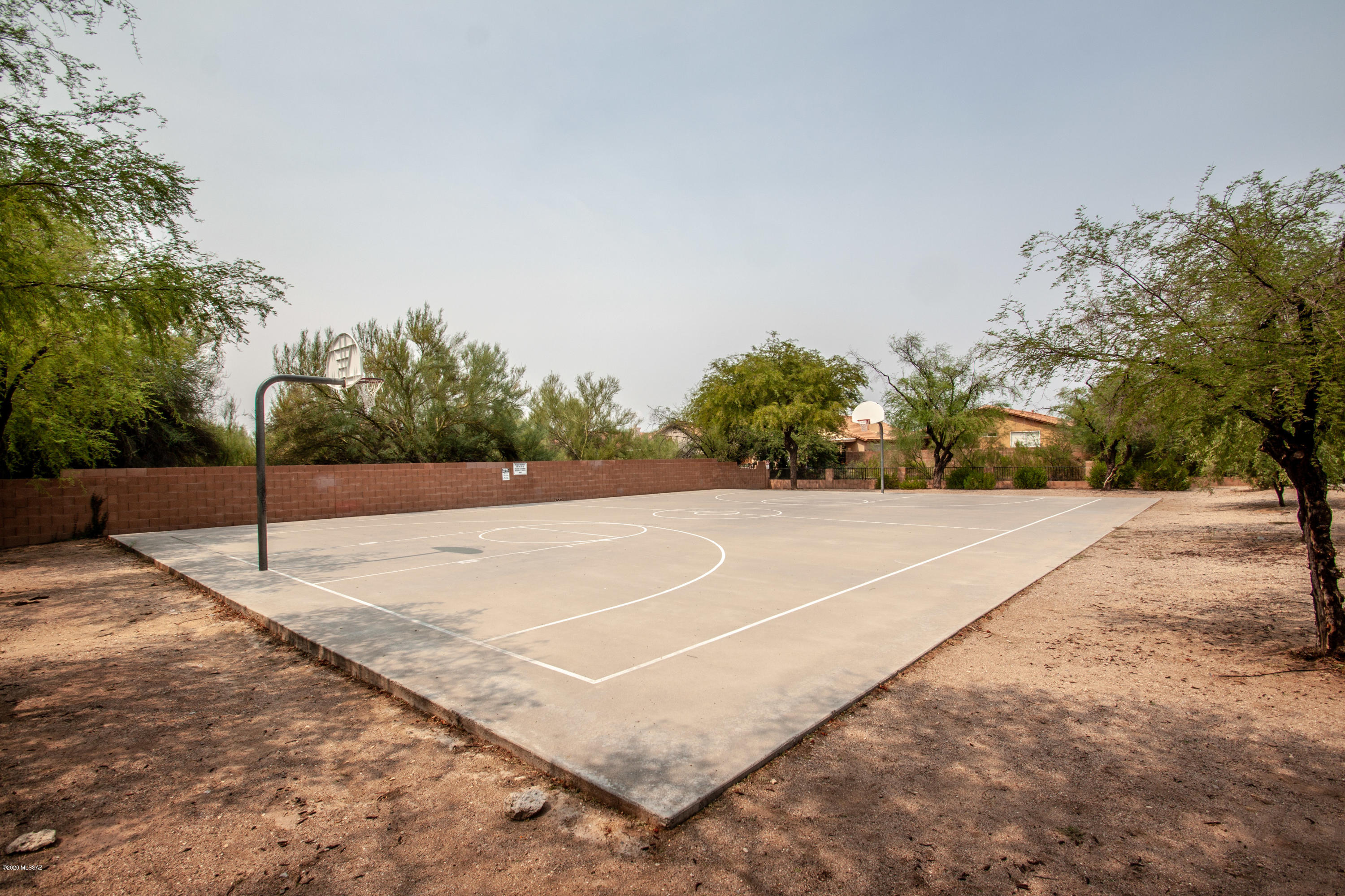 3662 W Camino De Talia