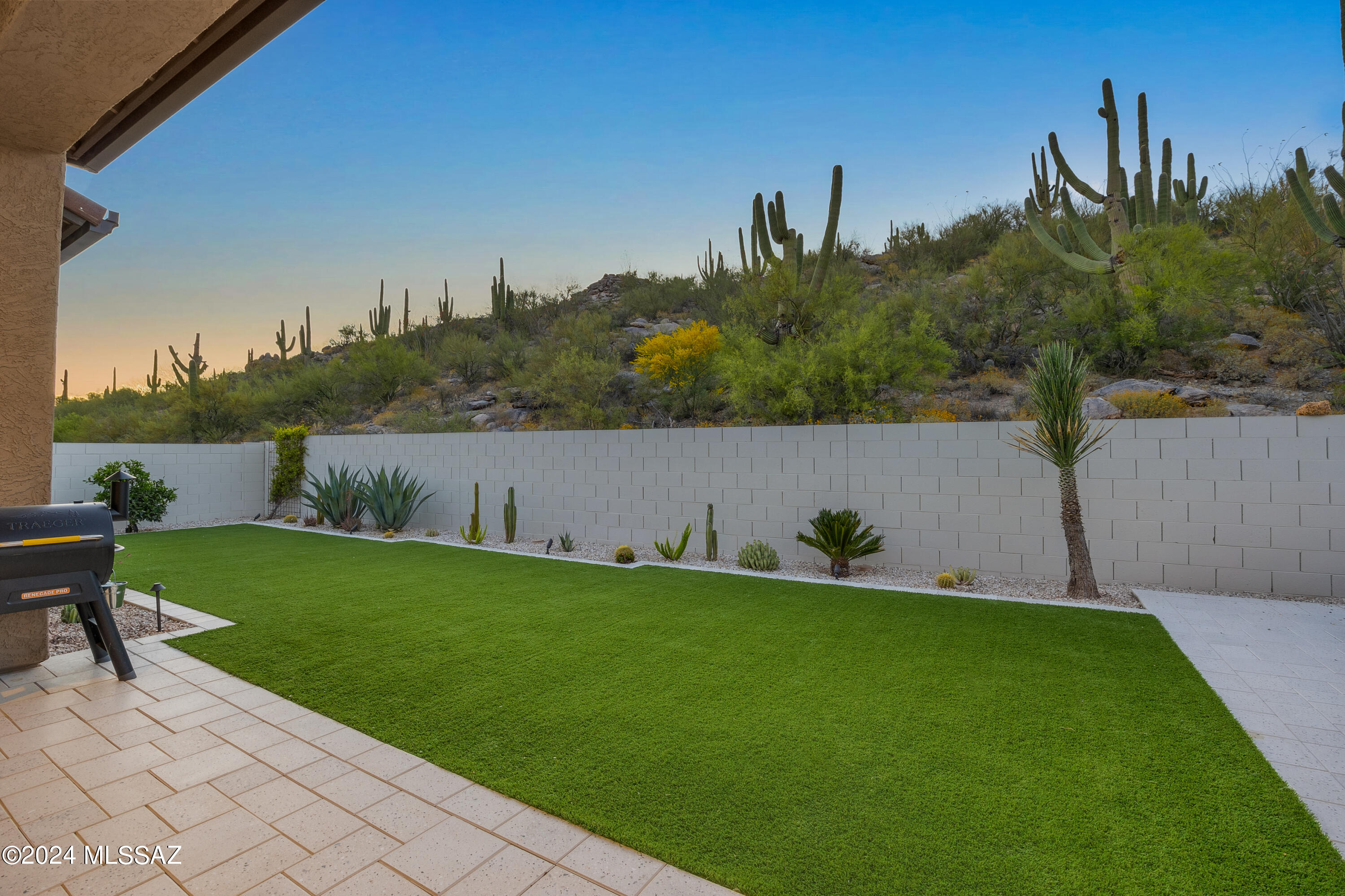 13507 N Mariposa Lily Drive