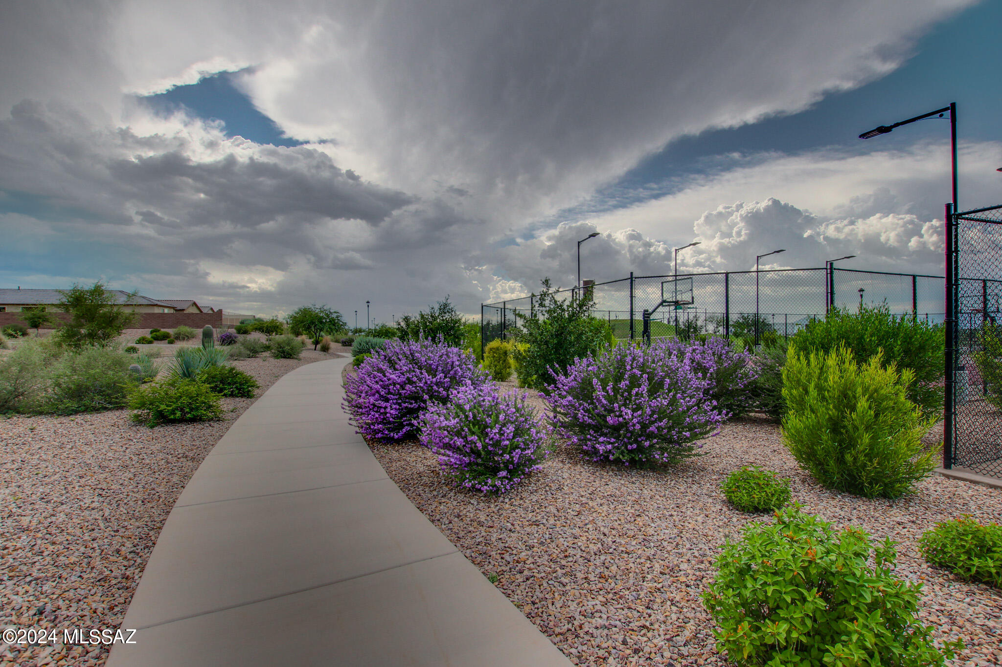 13177 E Apex Mine Way