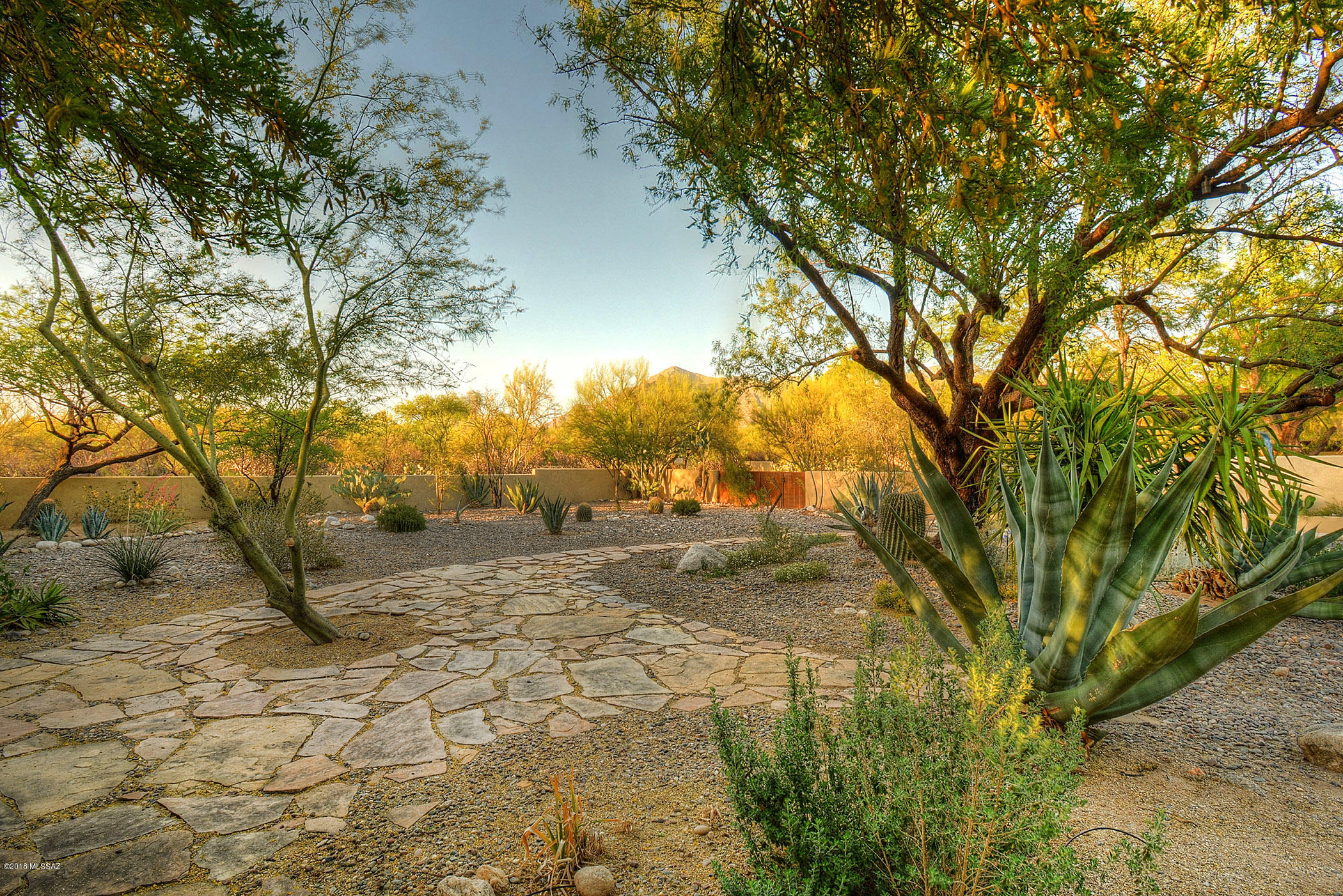 6751 N Paseo De Los Altos