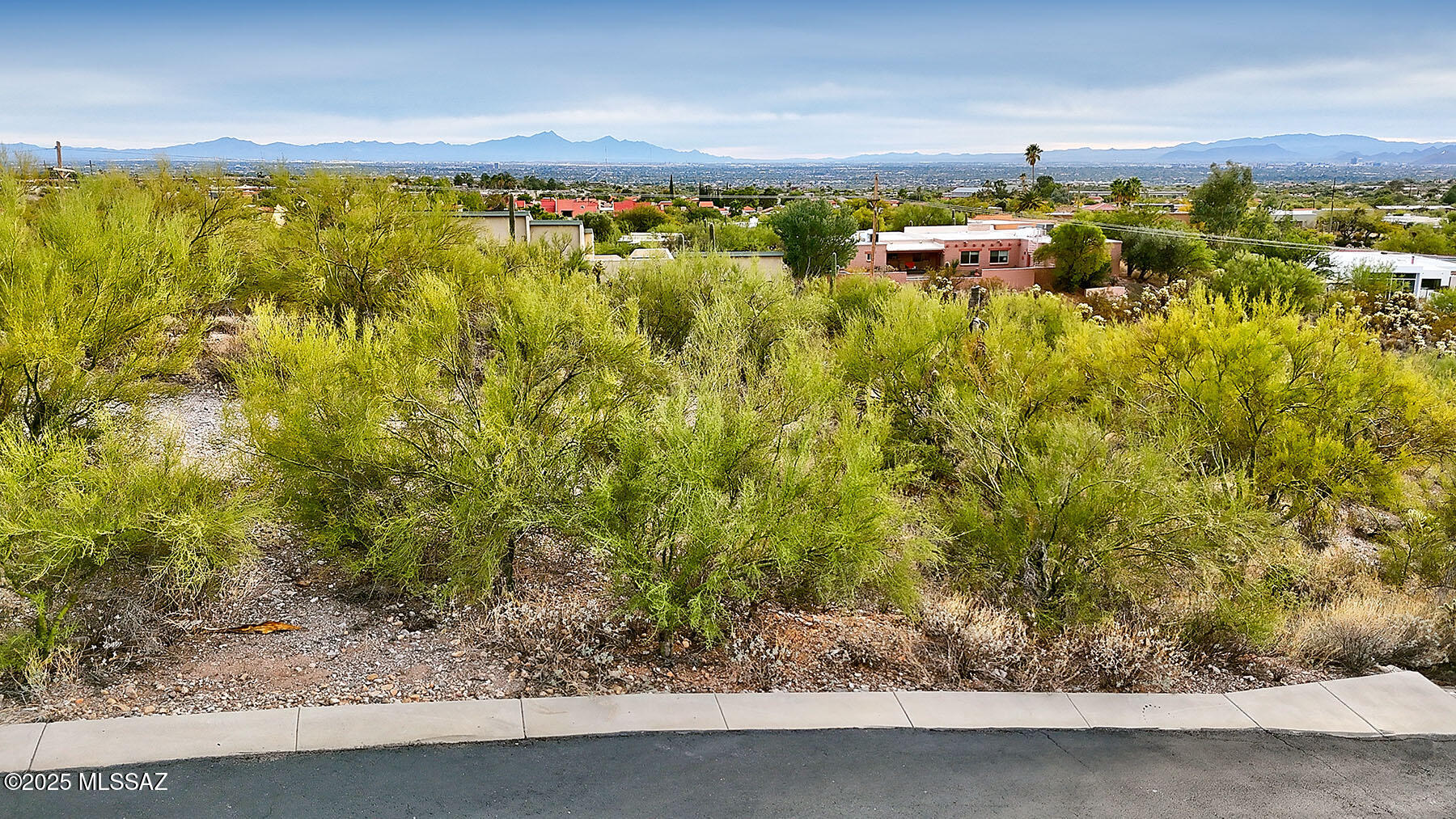 4590 E Blue Mountain Drive 4