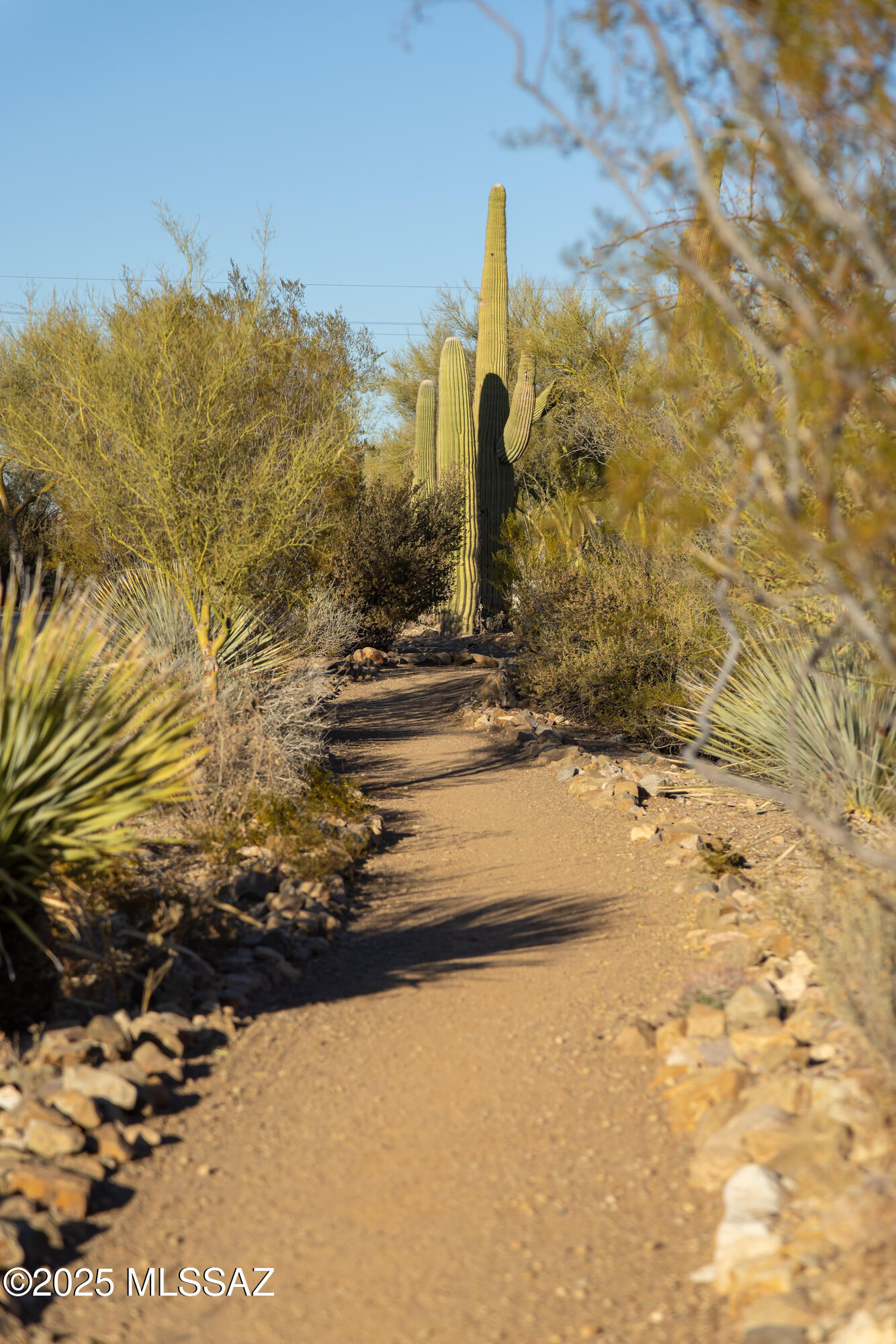 4092 W Tombolo Trail