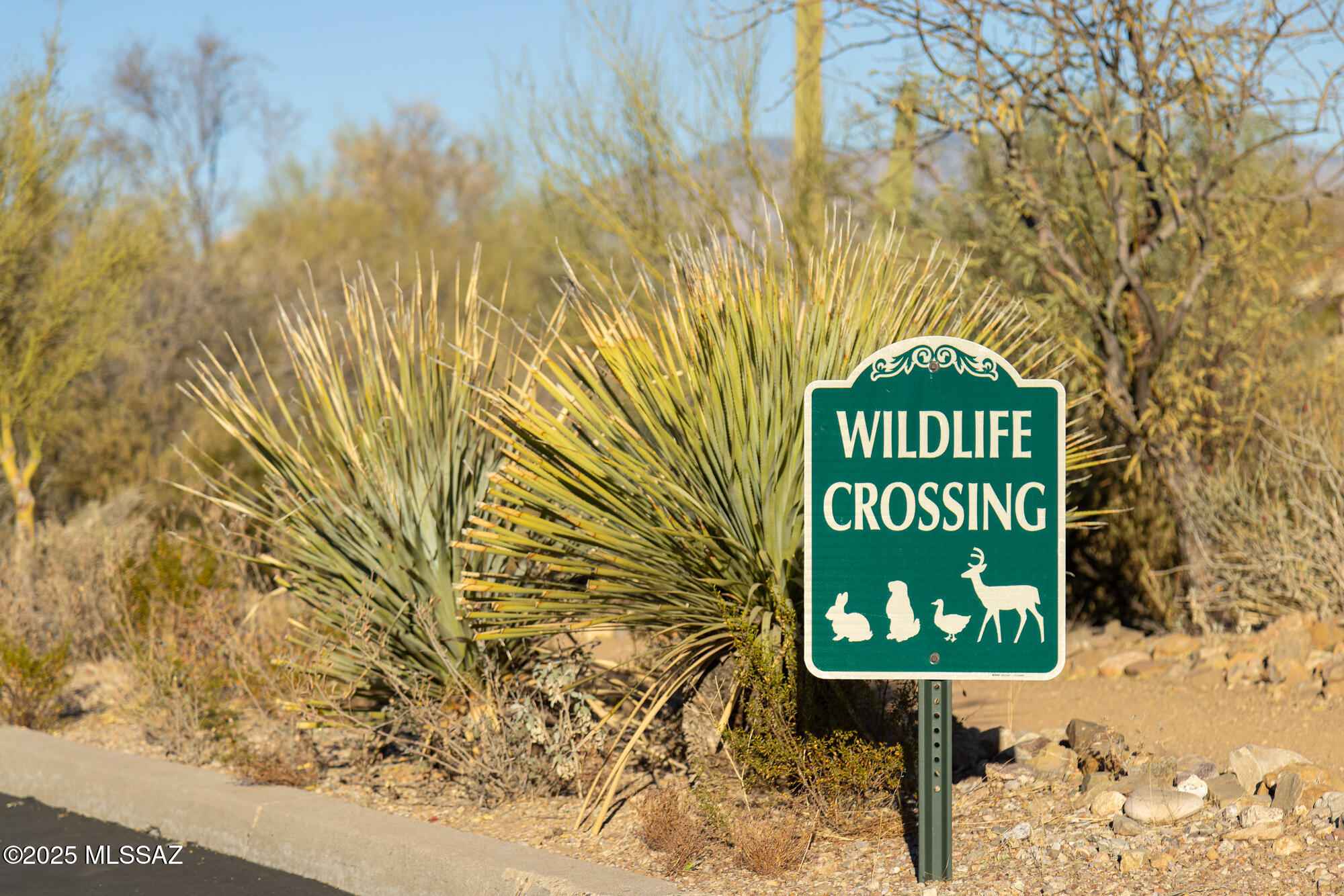 4092 W Tombolo Trail