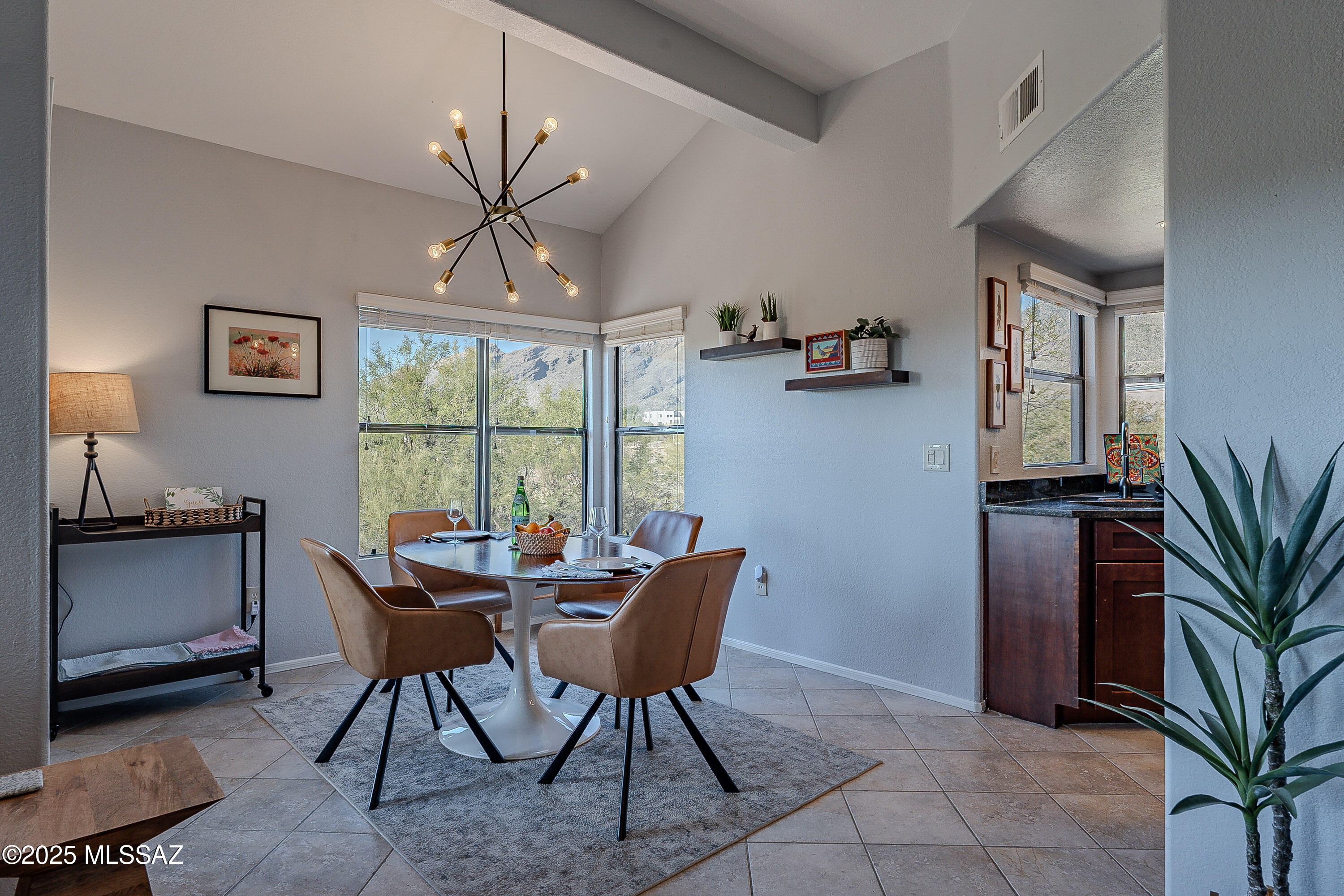 5855 N Kolb Road UNIT 2205