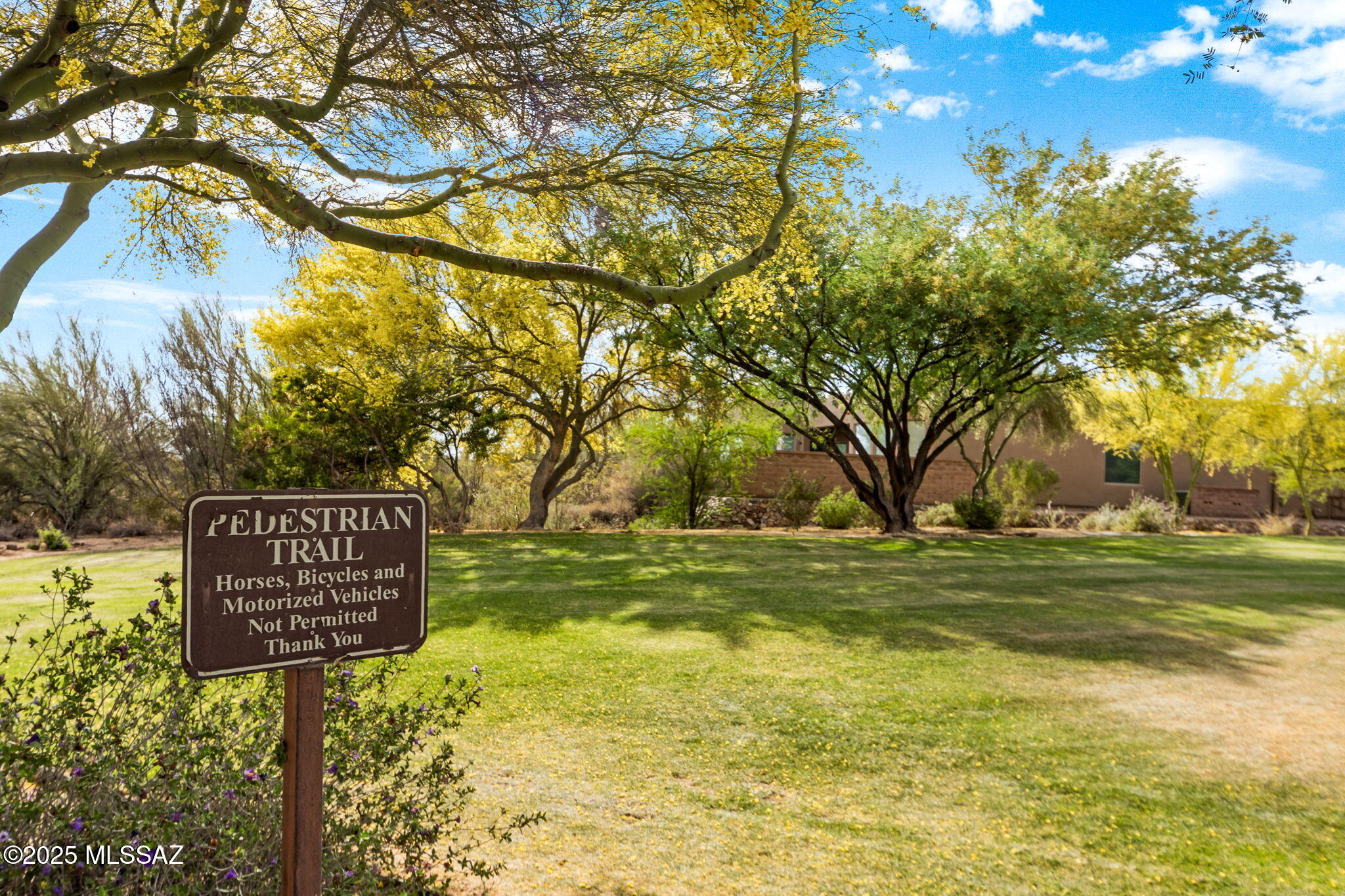 12320 N Sunrise Shadow Drive