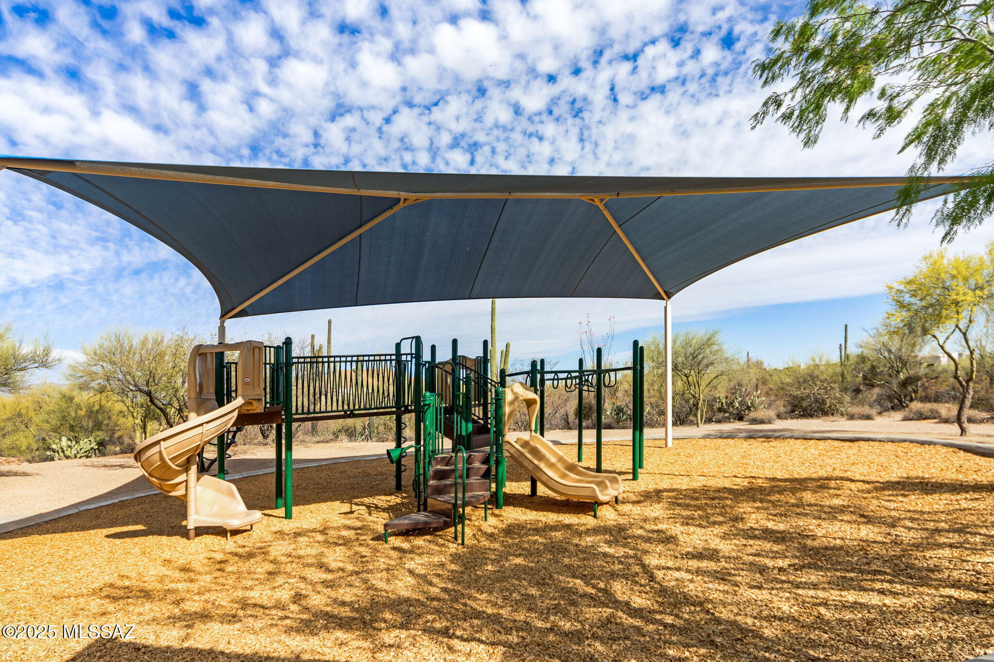12320 N Sunrise Shadow Drive