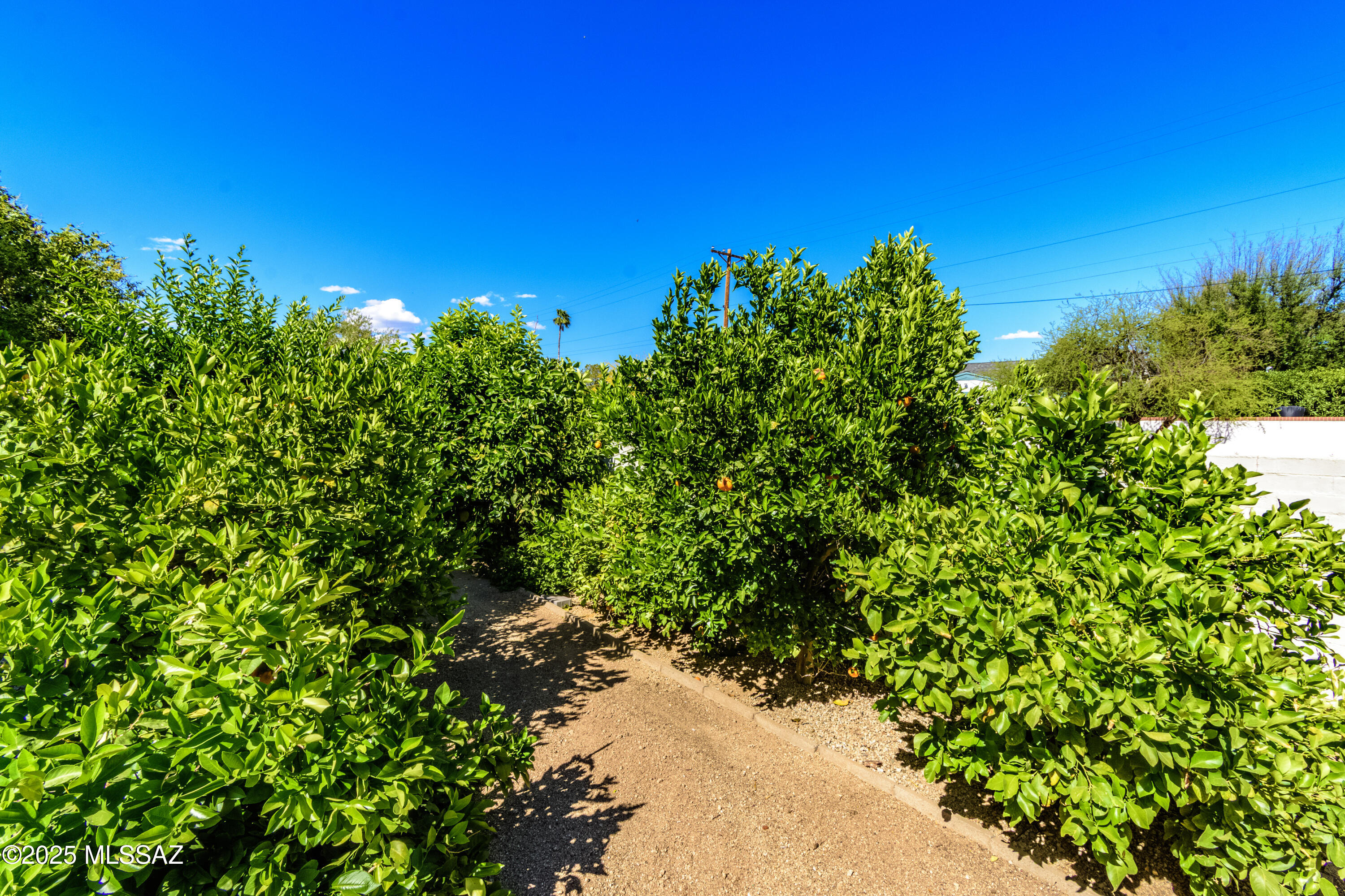 4052 E Calle De Jardin