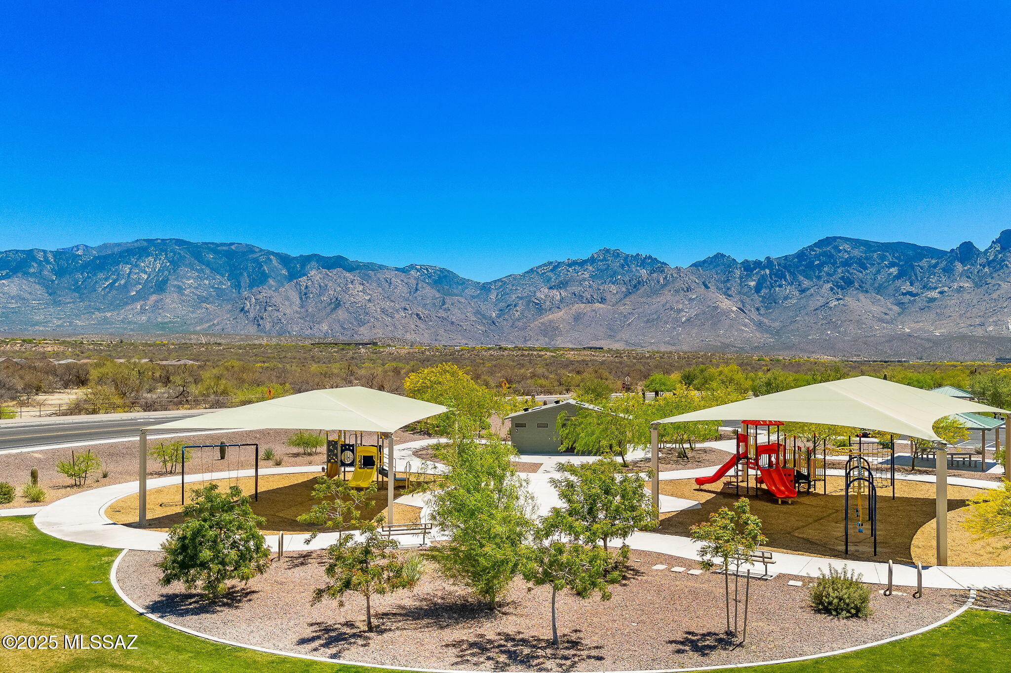 13415 N Fiesta Flower Drive
