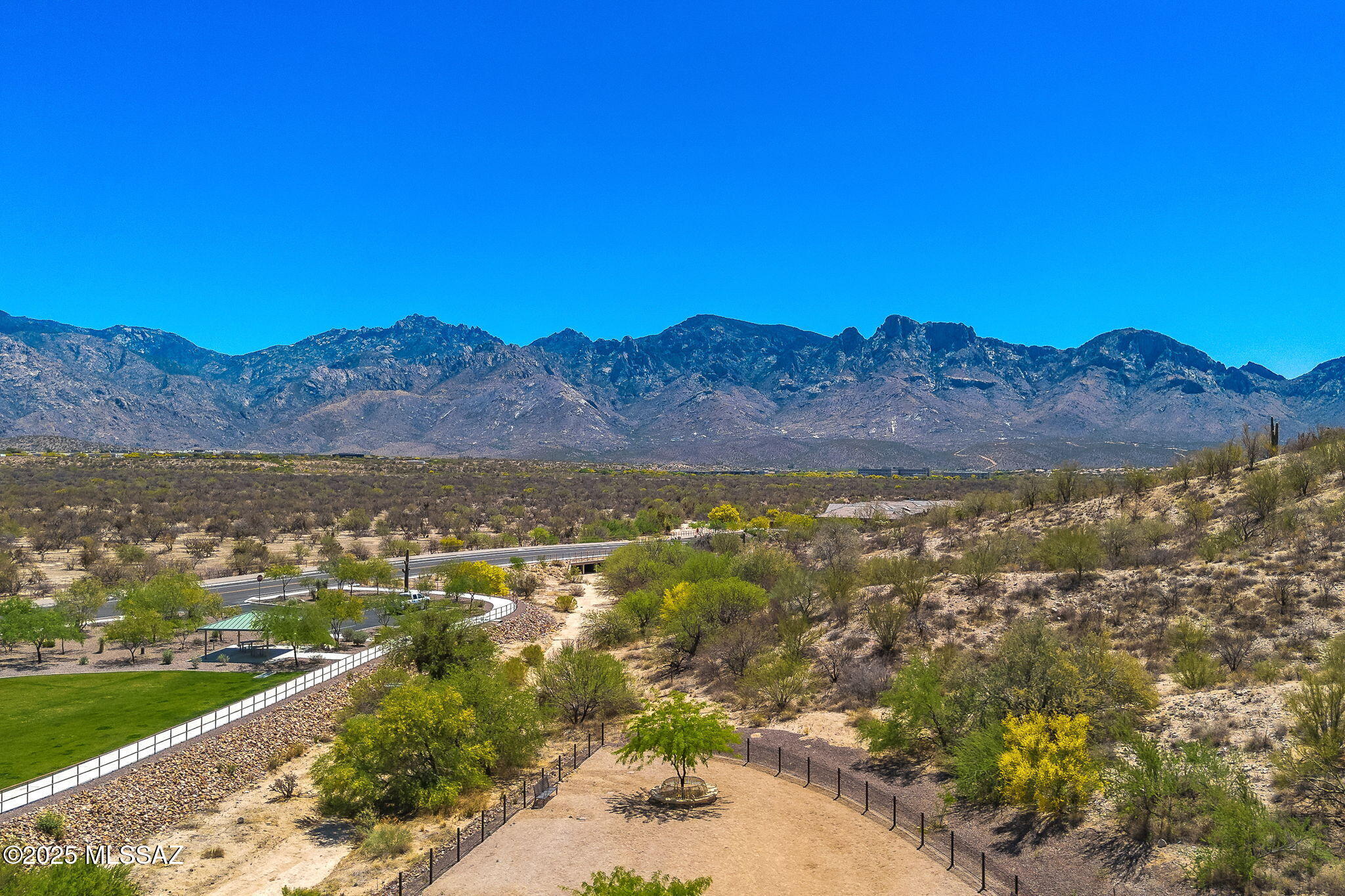 13415 N Fiesta Flower Drive