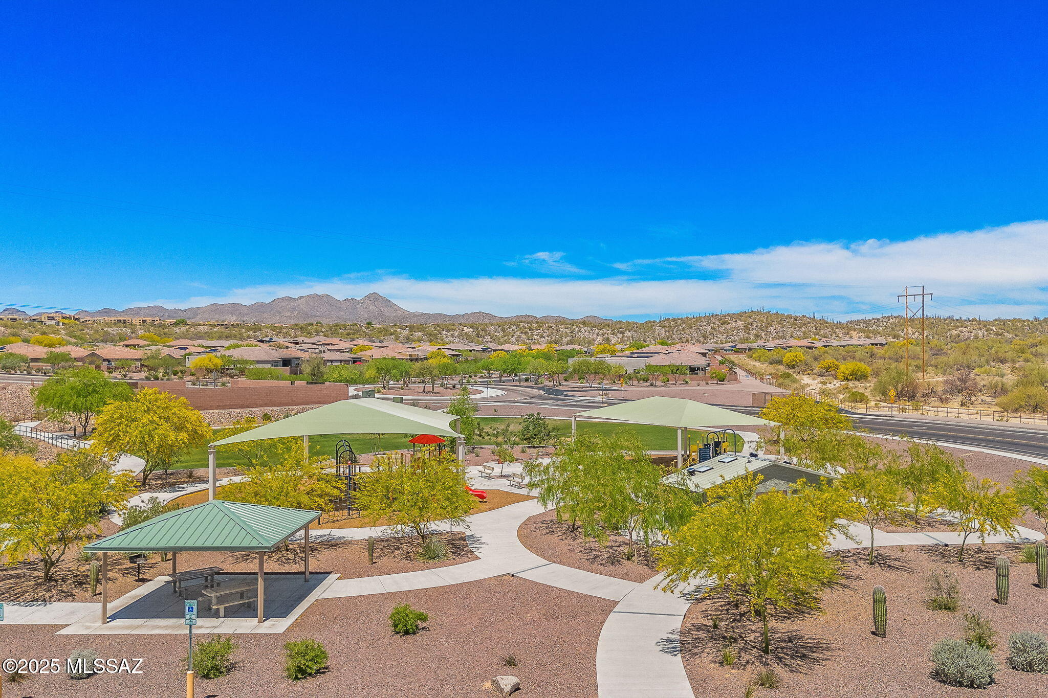 13415 N Fiesta Flower Drive