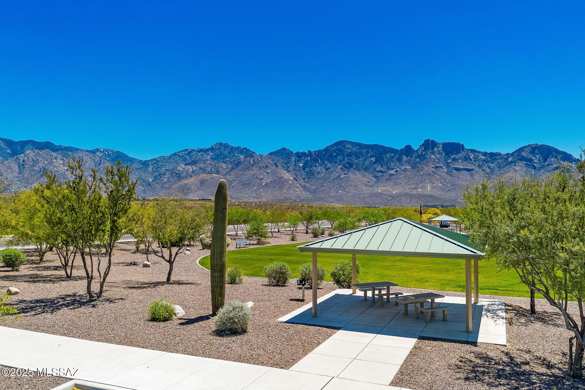 13415 N Fiesta Flower Drive