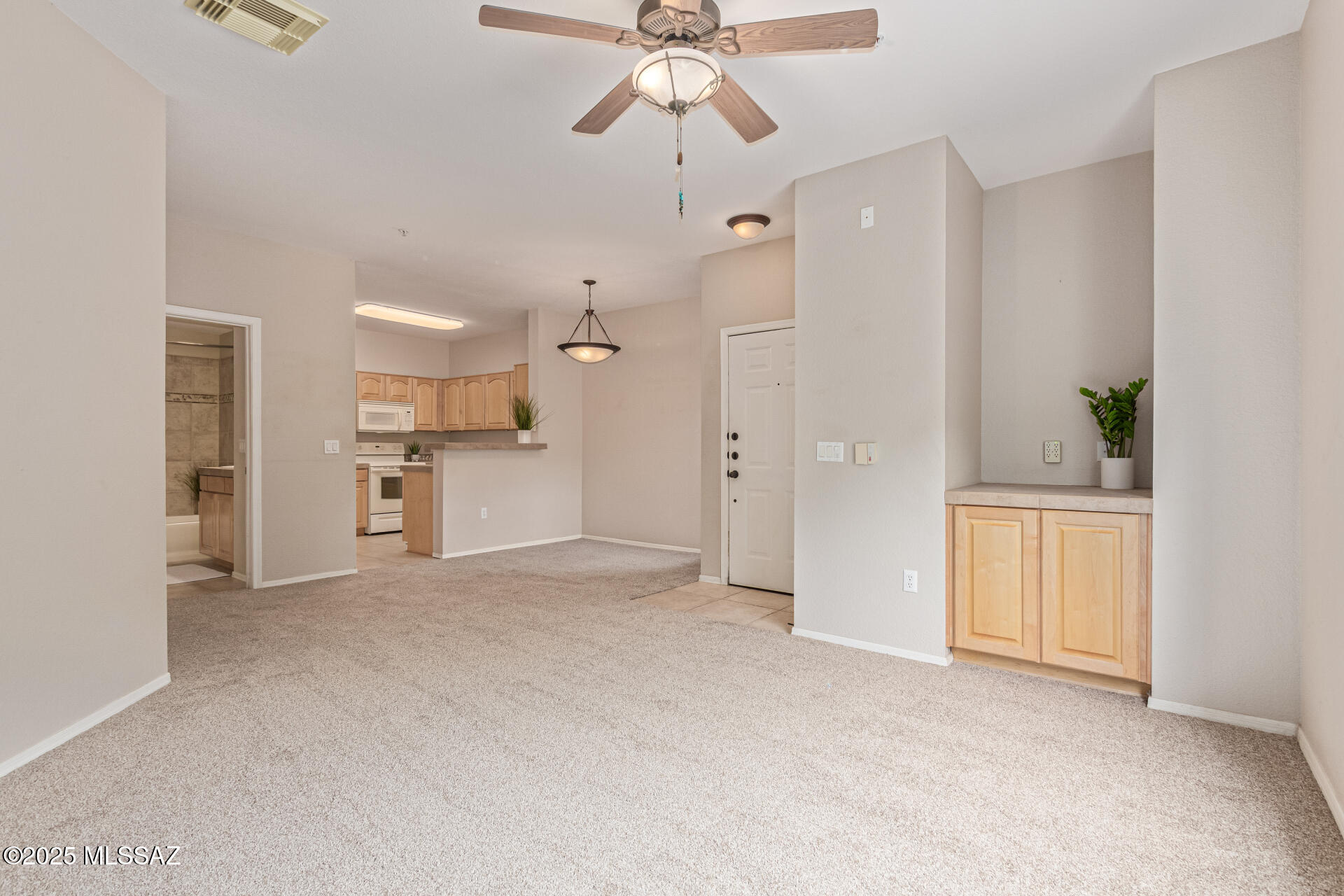 1500 E Pusch Wilderness Drive 13107