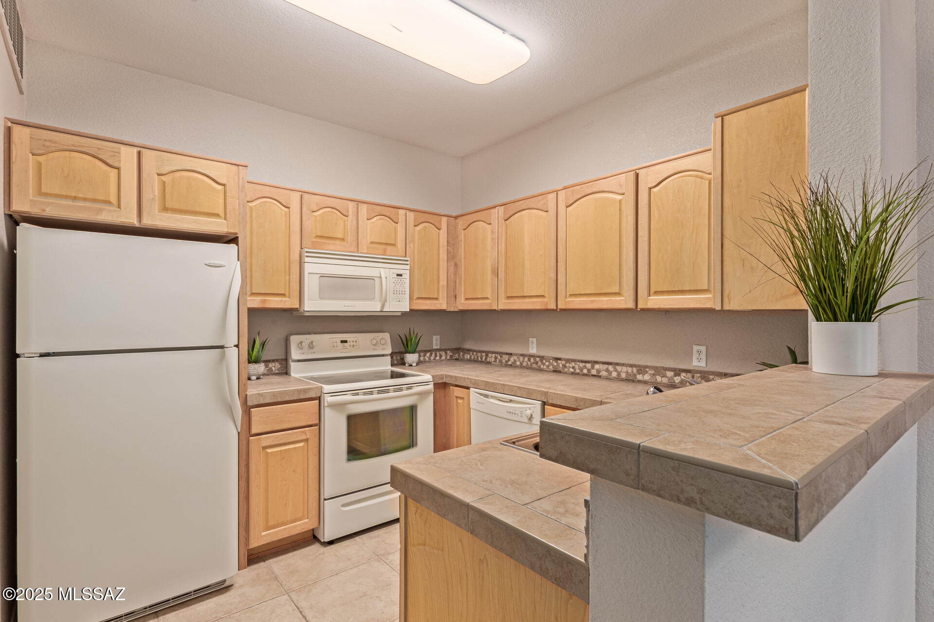 1500 E Pusch Wilderness Drive 13107