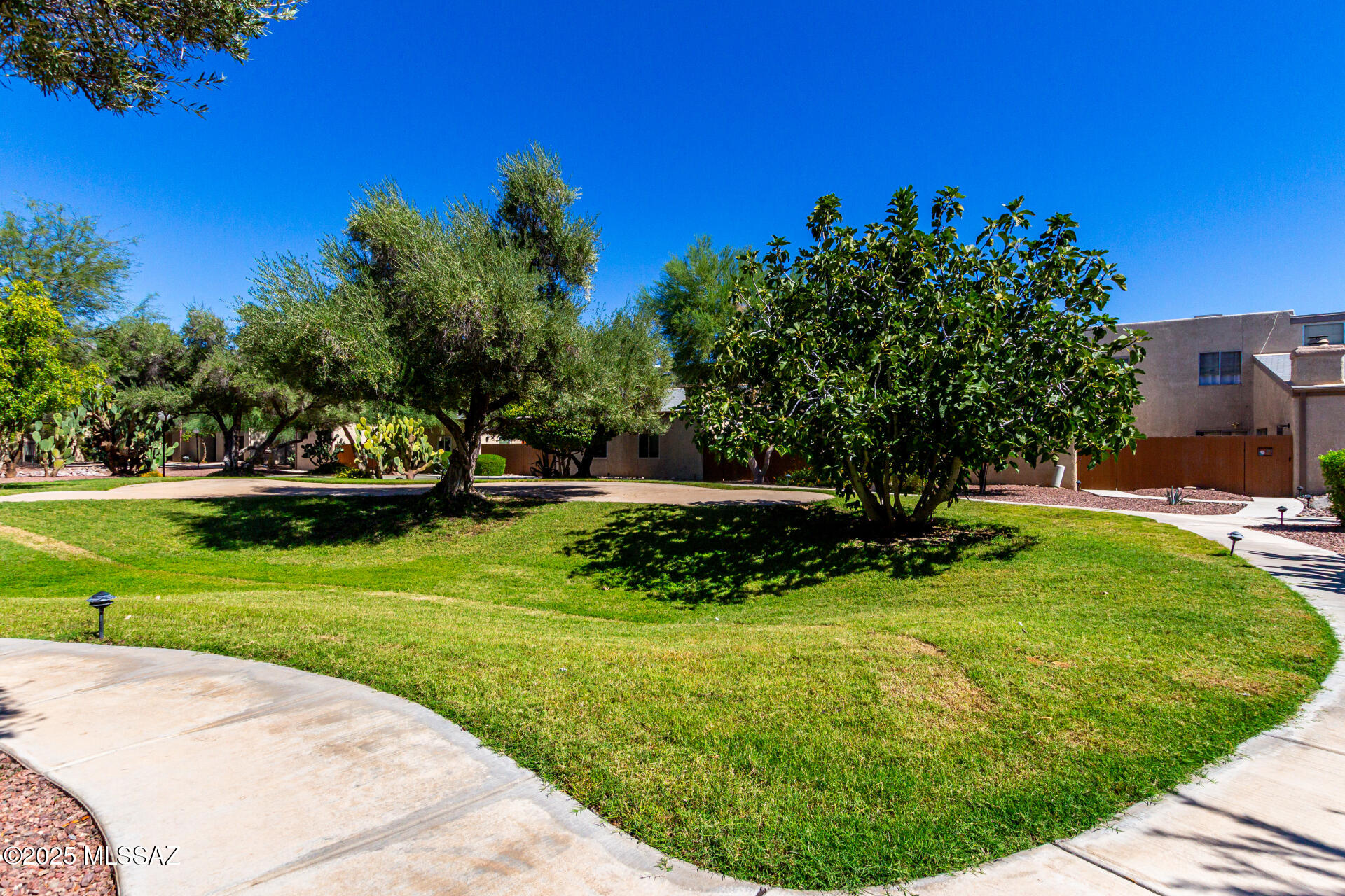 3750 N Country Club Road 1