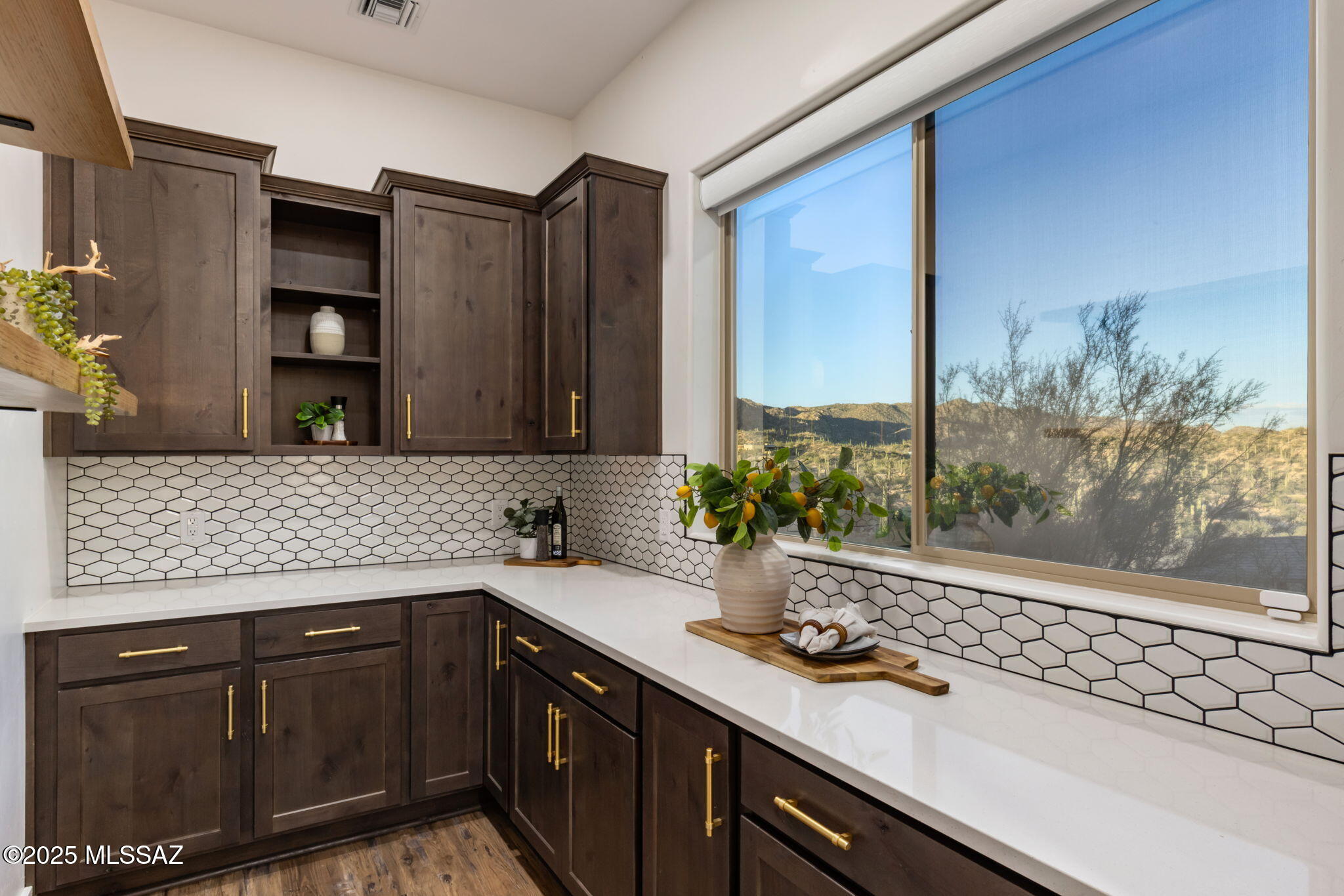 14192 N Gecko Canyon Trail