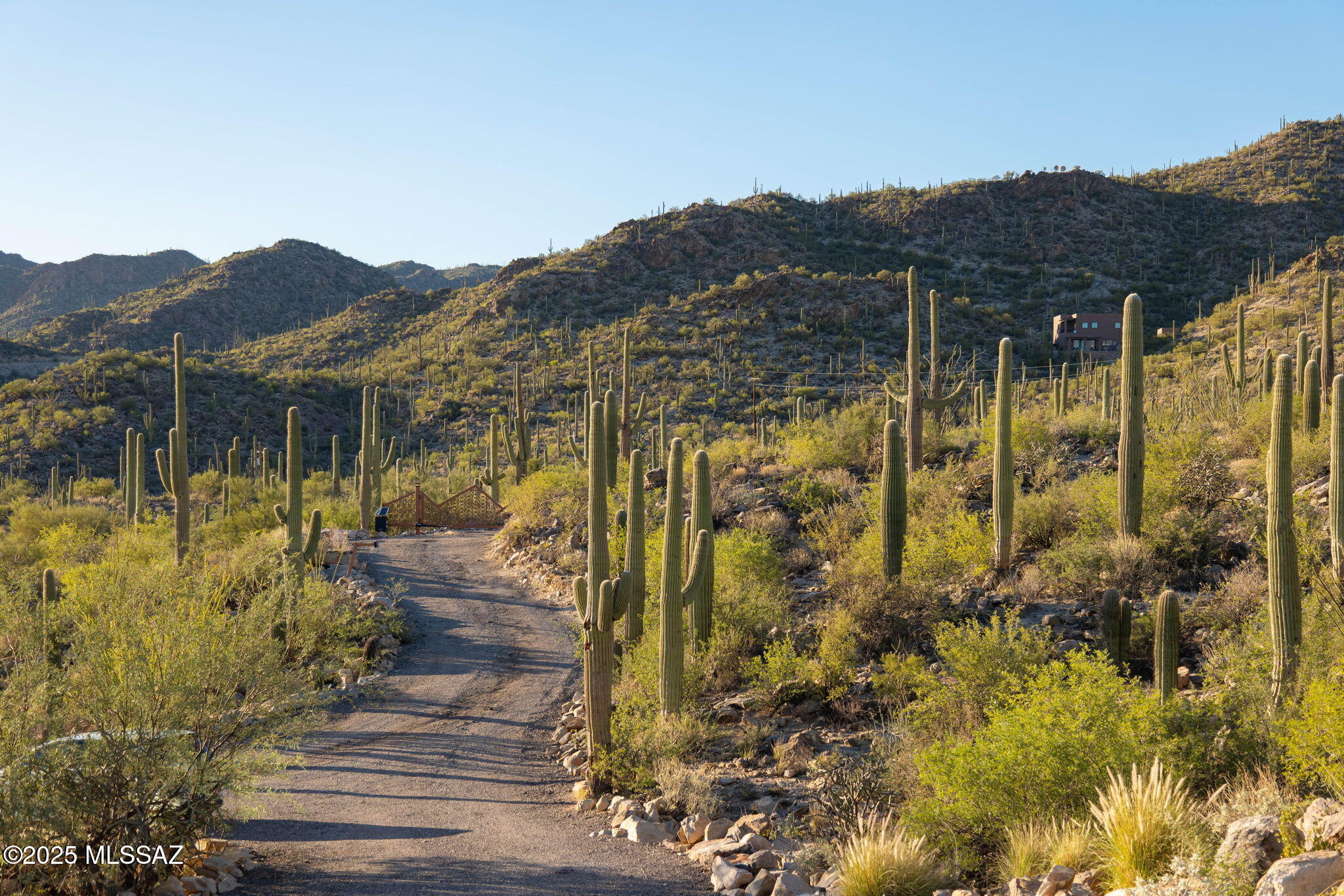 14192 N Gecko Canyon Trail