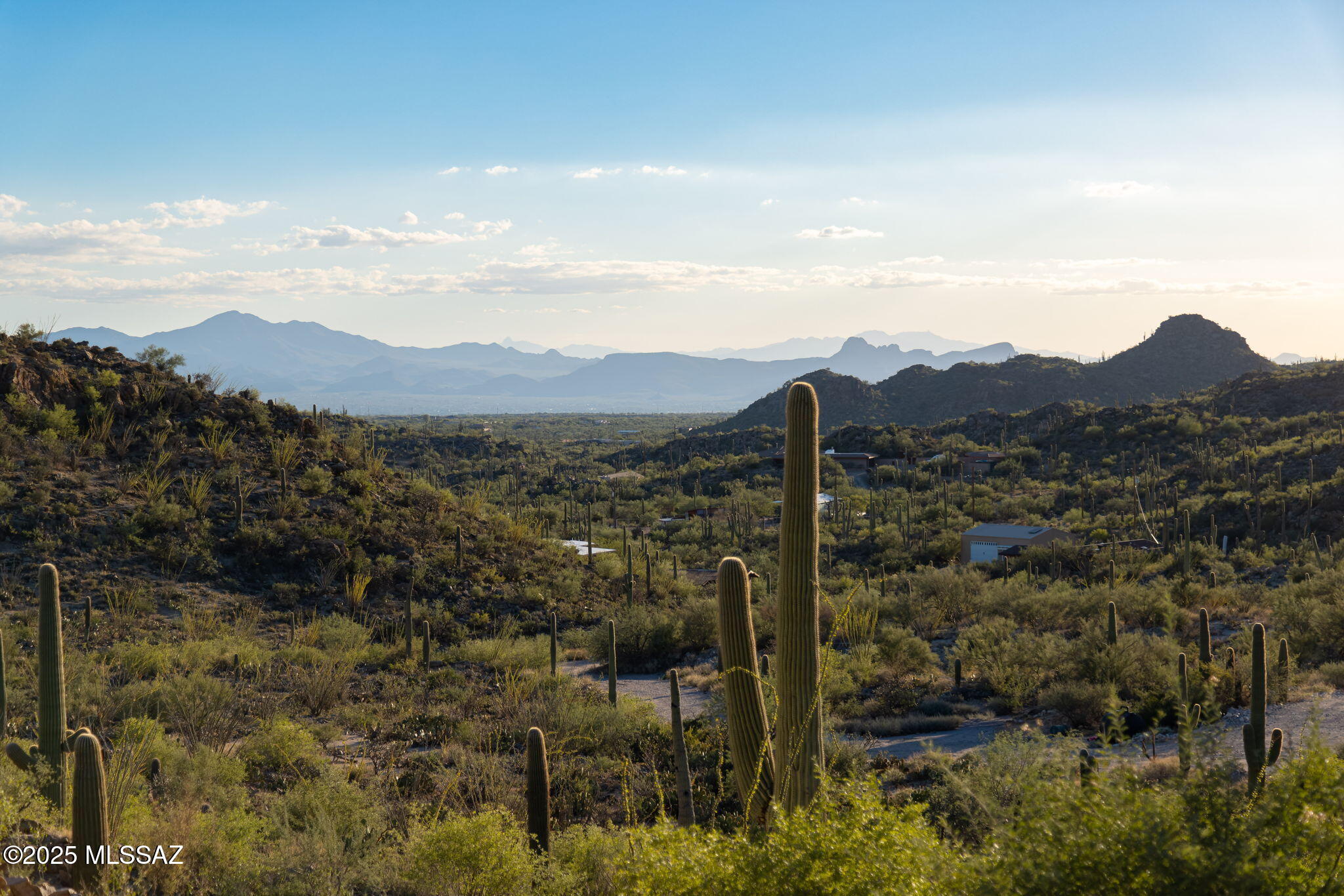 14192 N Gecko Canyon Trail