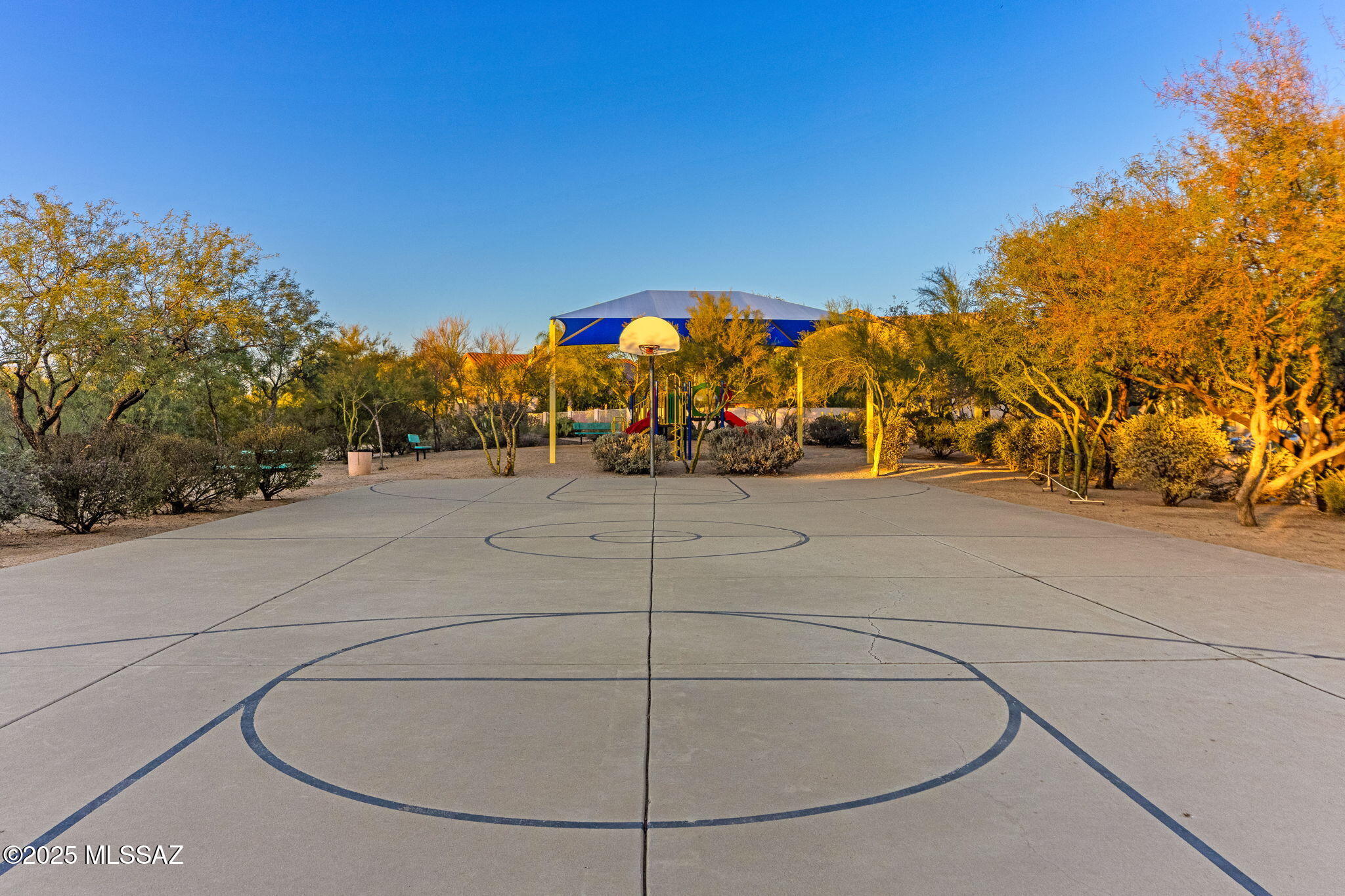 2025 W Golden Rose Place