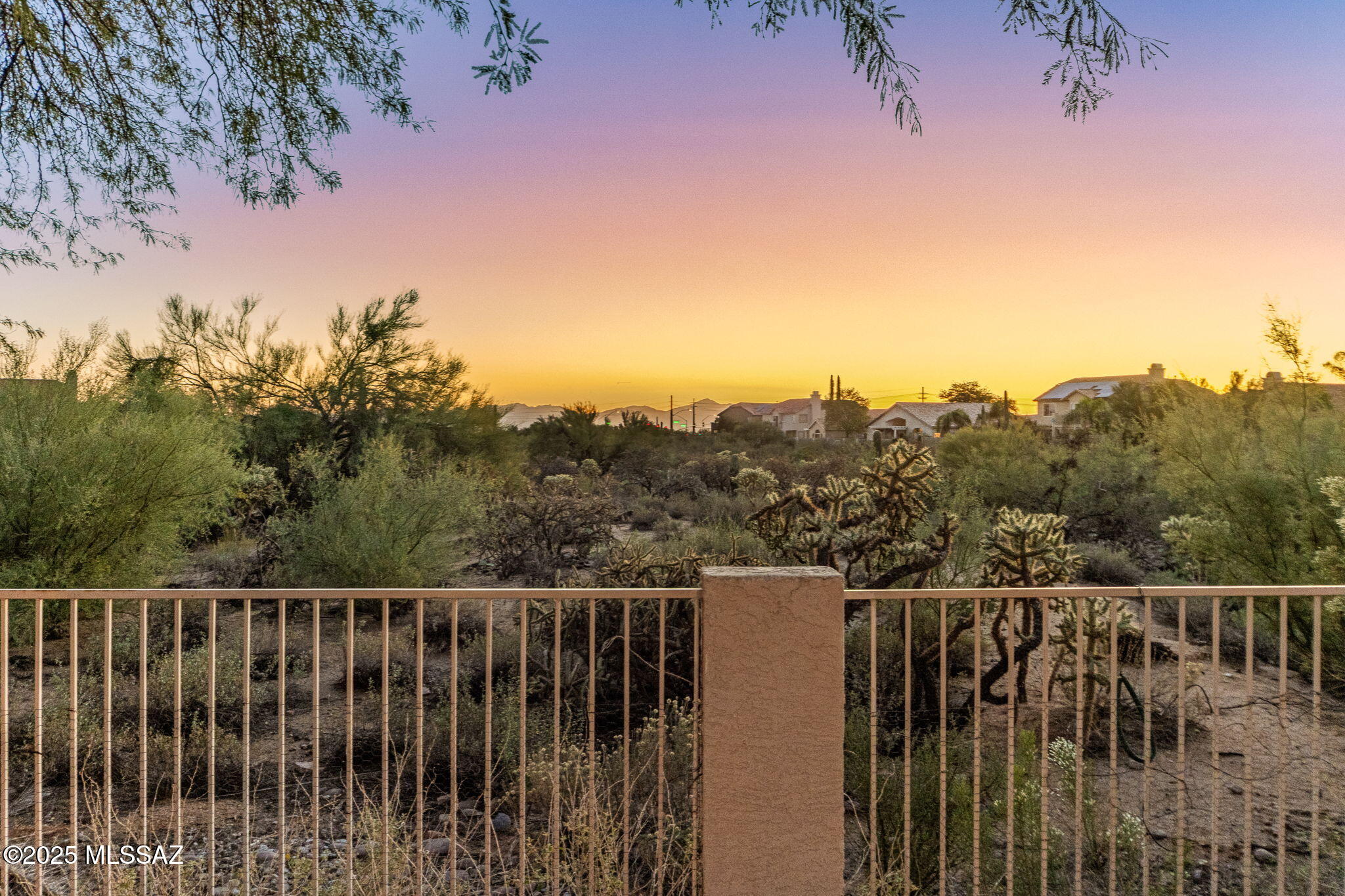 2025 W Golden Rose Place