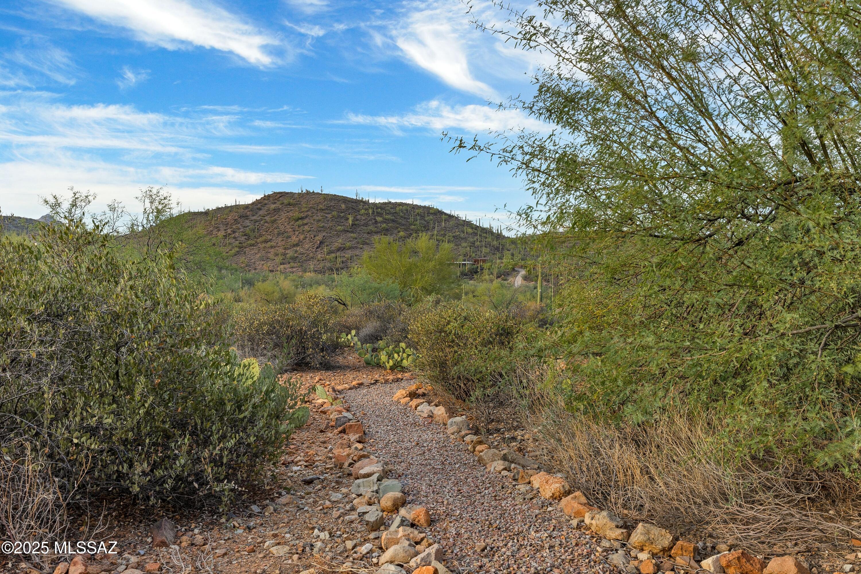 6539 W El Camino Del Cerro