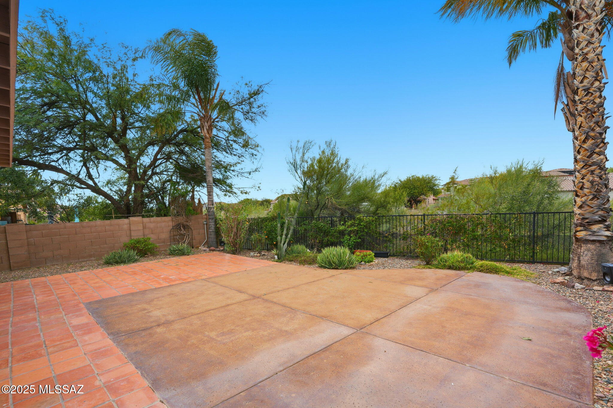 13047 N Desert Olive Drive