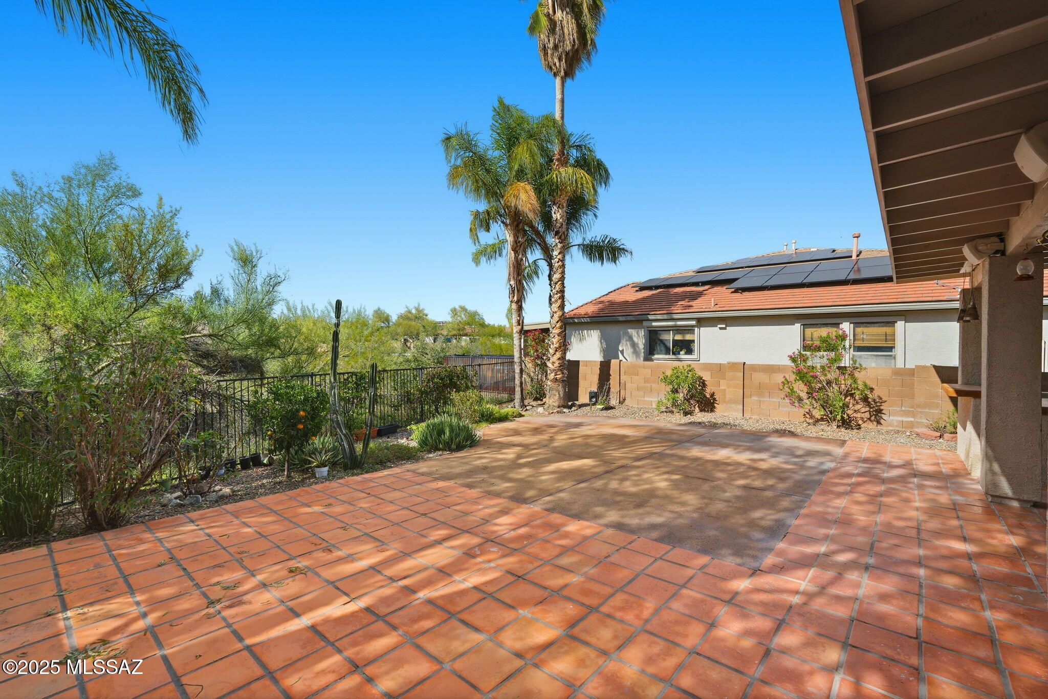 13047 N Desert Olive Drive
